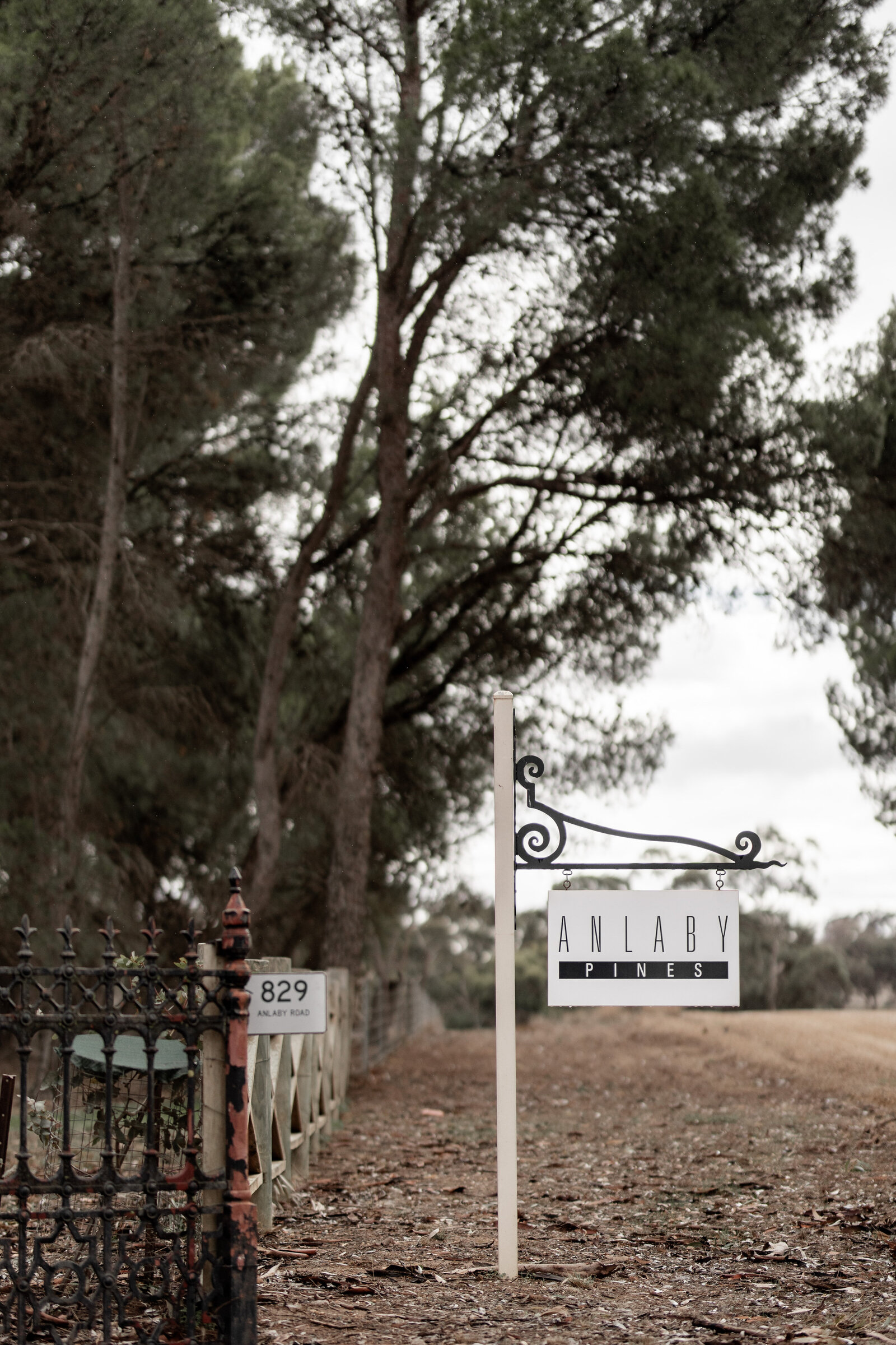 250612-Lucy-Brandon-Rexvil-Photography-Adelaide-Wedding-Photographer-1