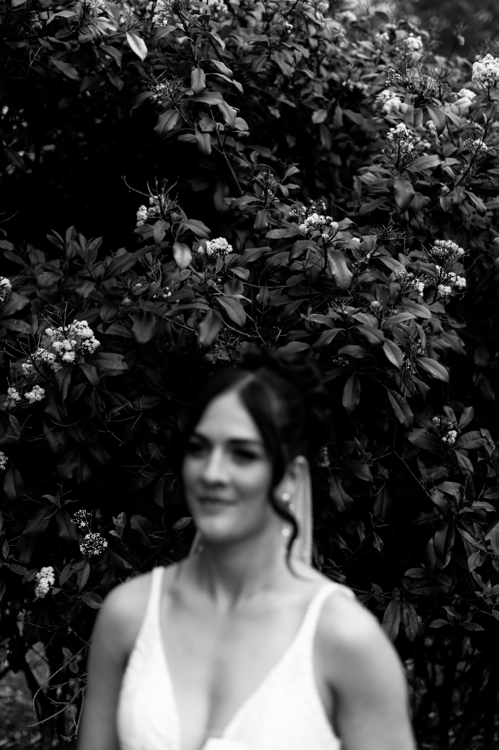 SneakPeek_0050