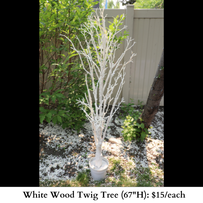 White Wood Twig Trees-668