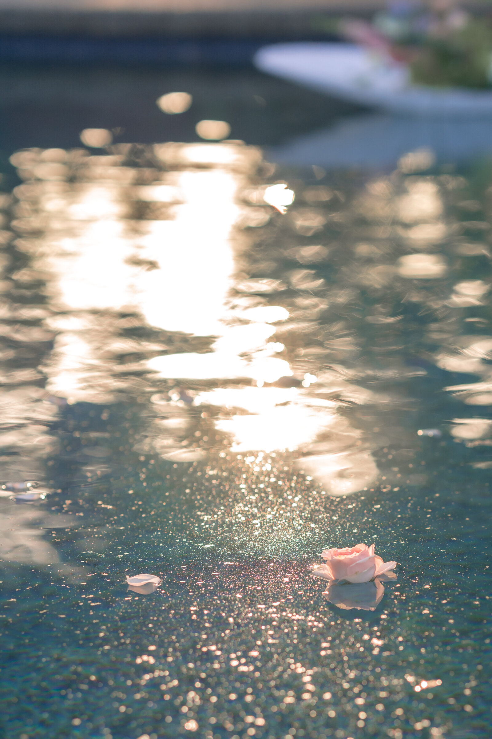 Water