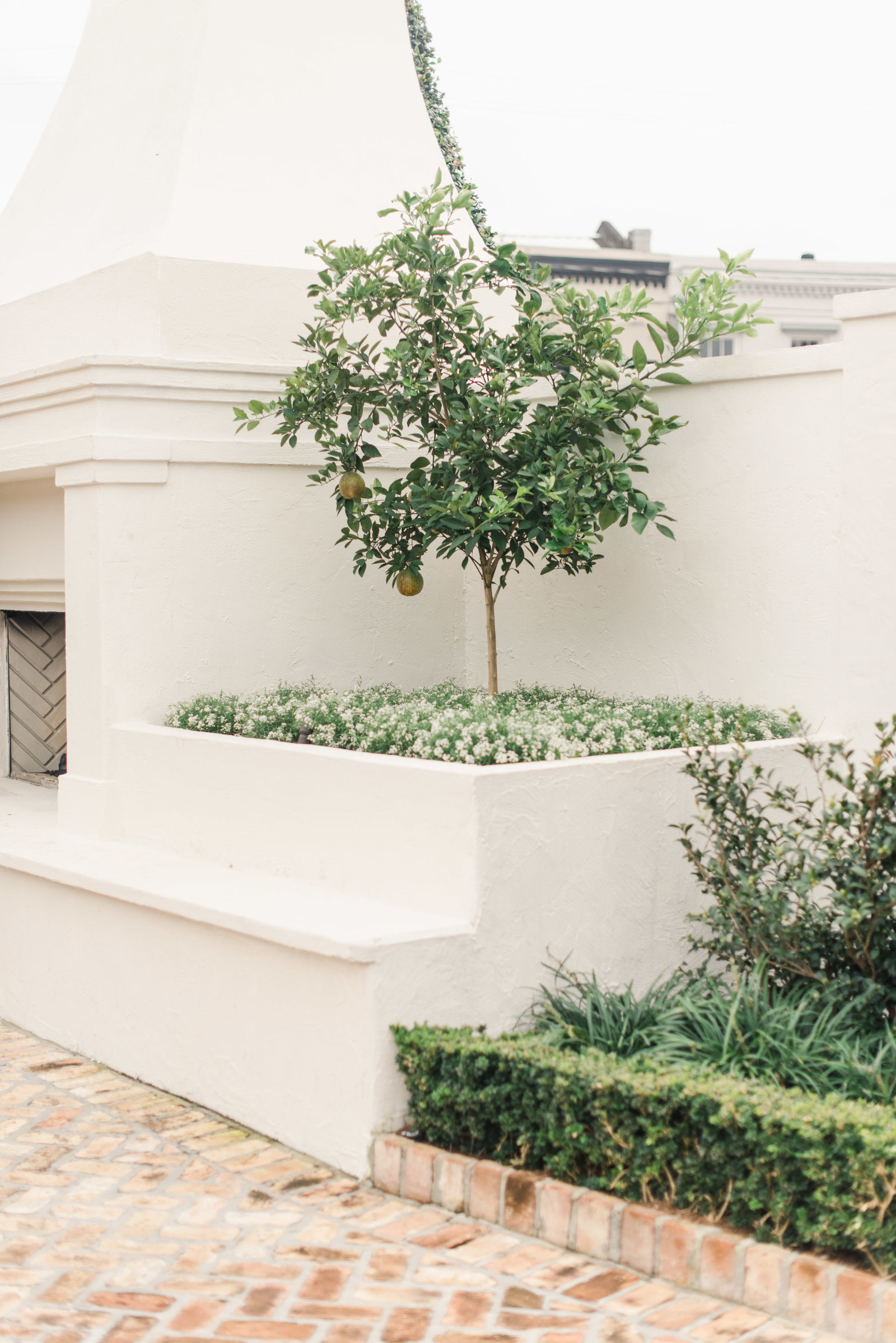 Chelsea_Rousey_Photography_NOLA_Ruffled_Styled_Social-2