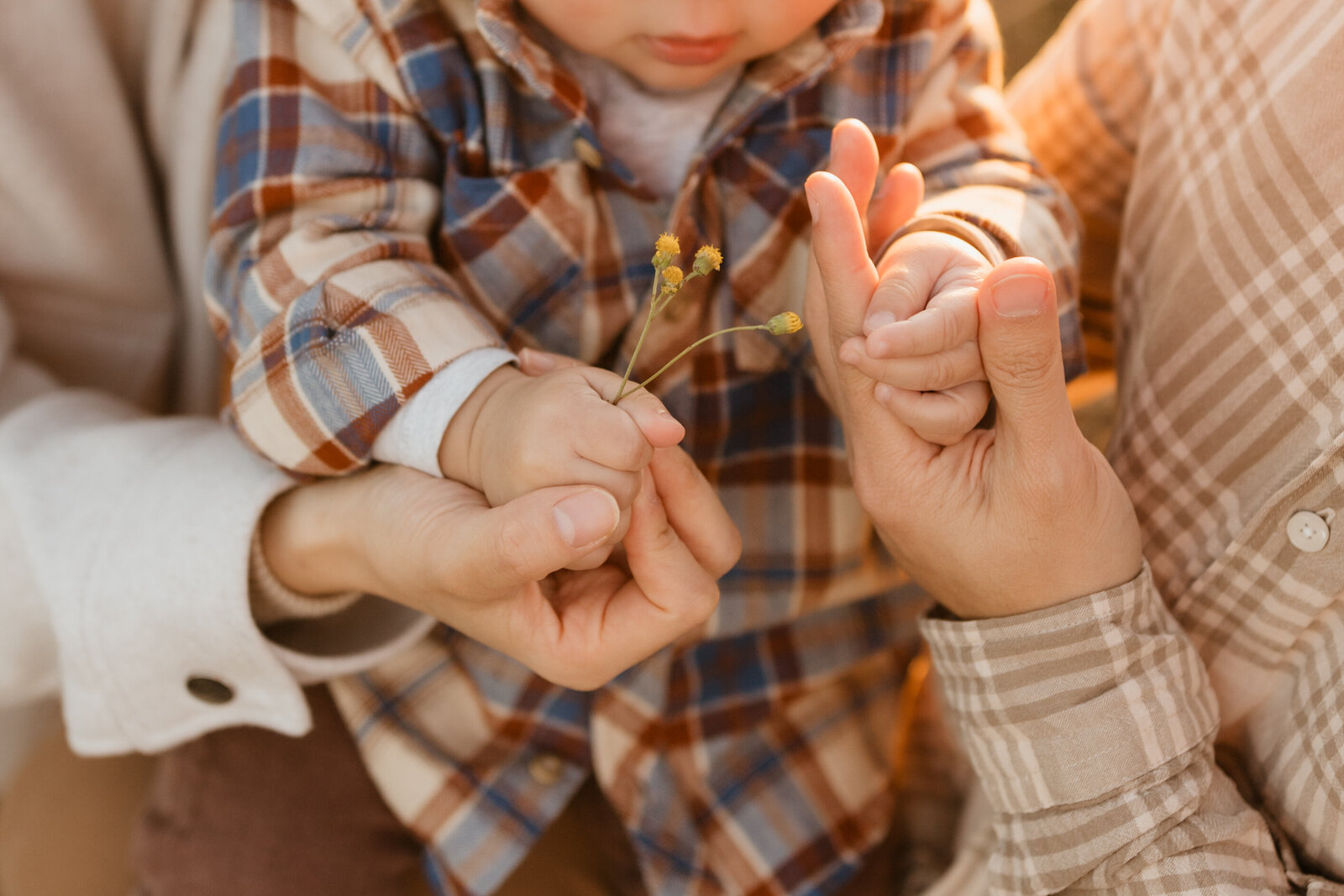 north-west-sydney-family-session-natural-and-relaxed