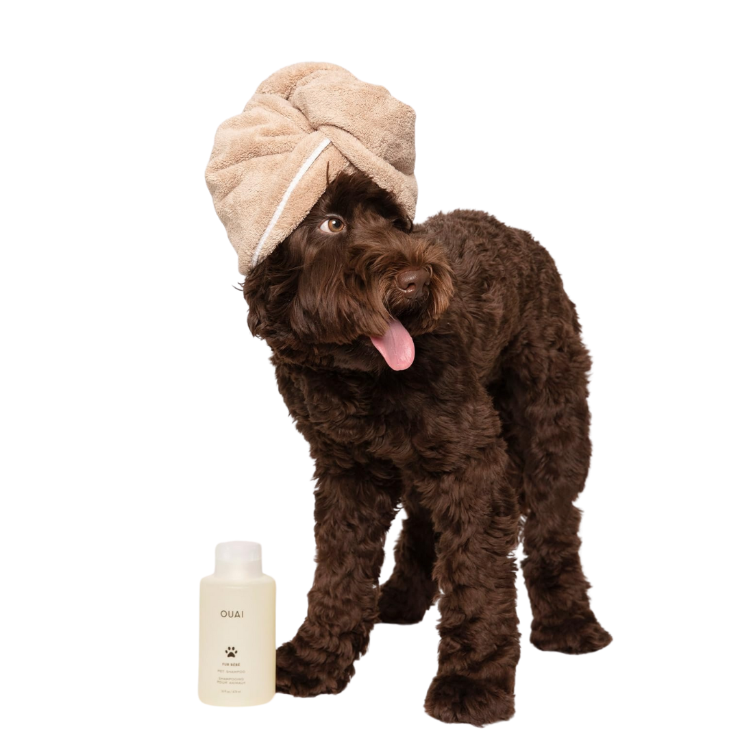 ouai dog shampoo