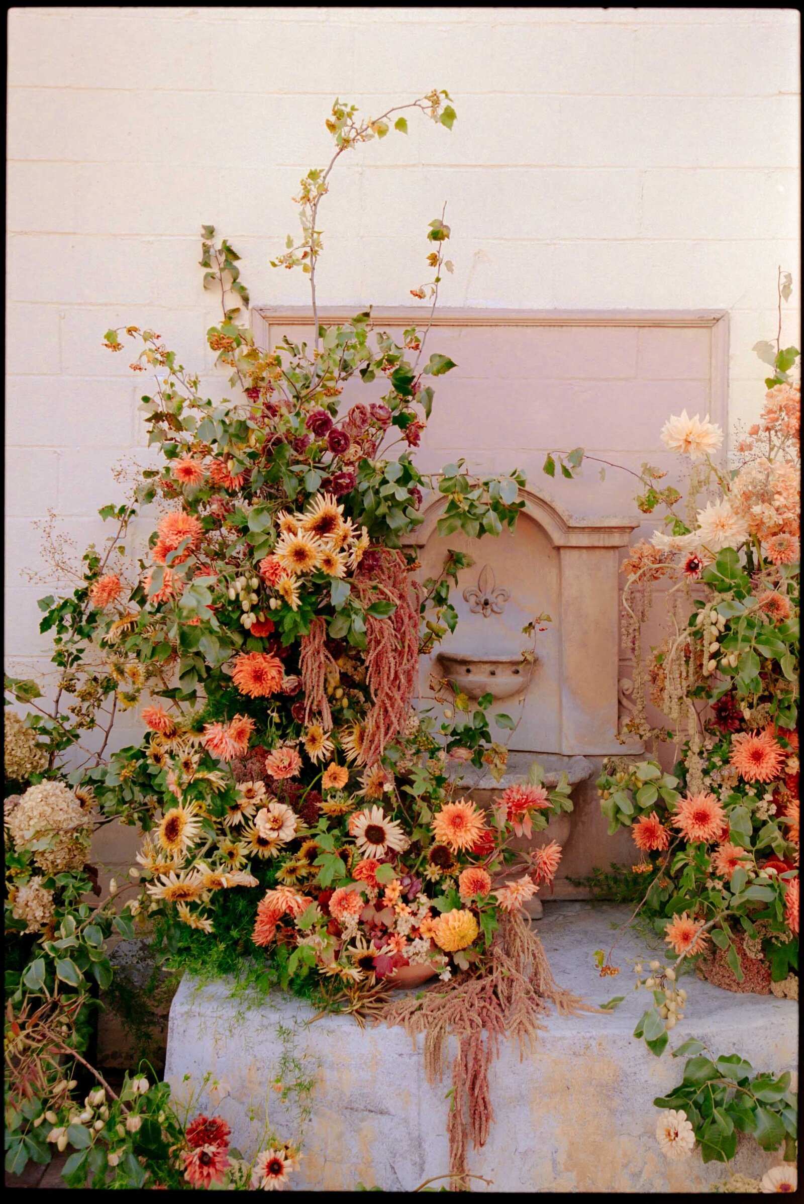 Jess-Buckley-Photo-California-Film-Wedding-37