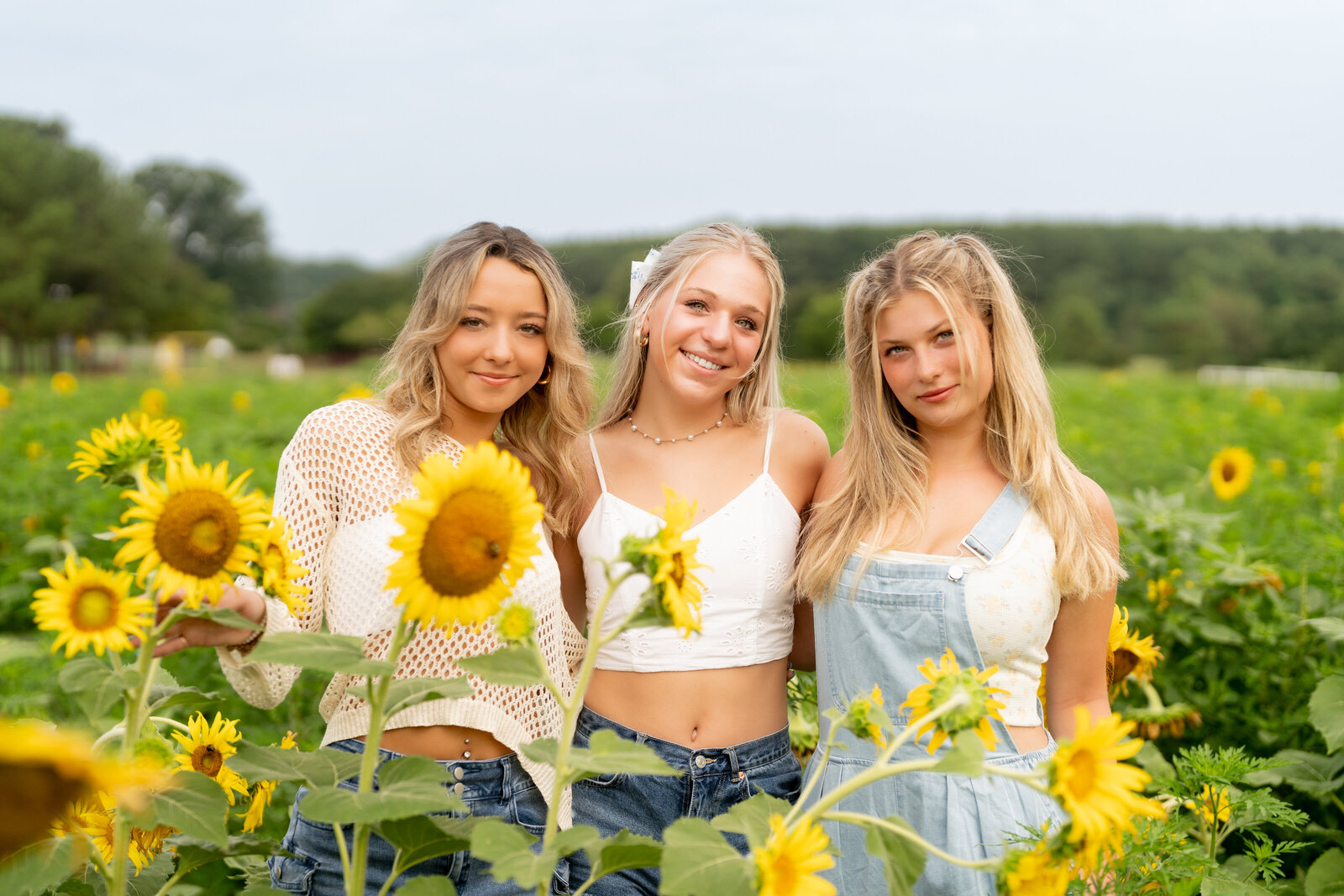 SUNFLOWER SHOOT 2025-22