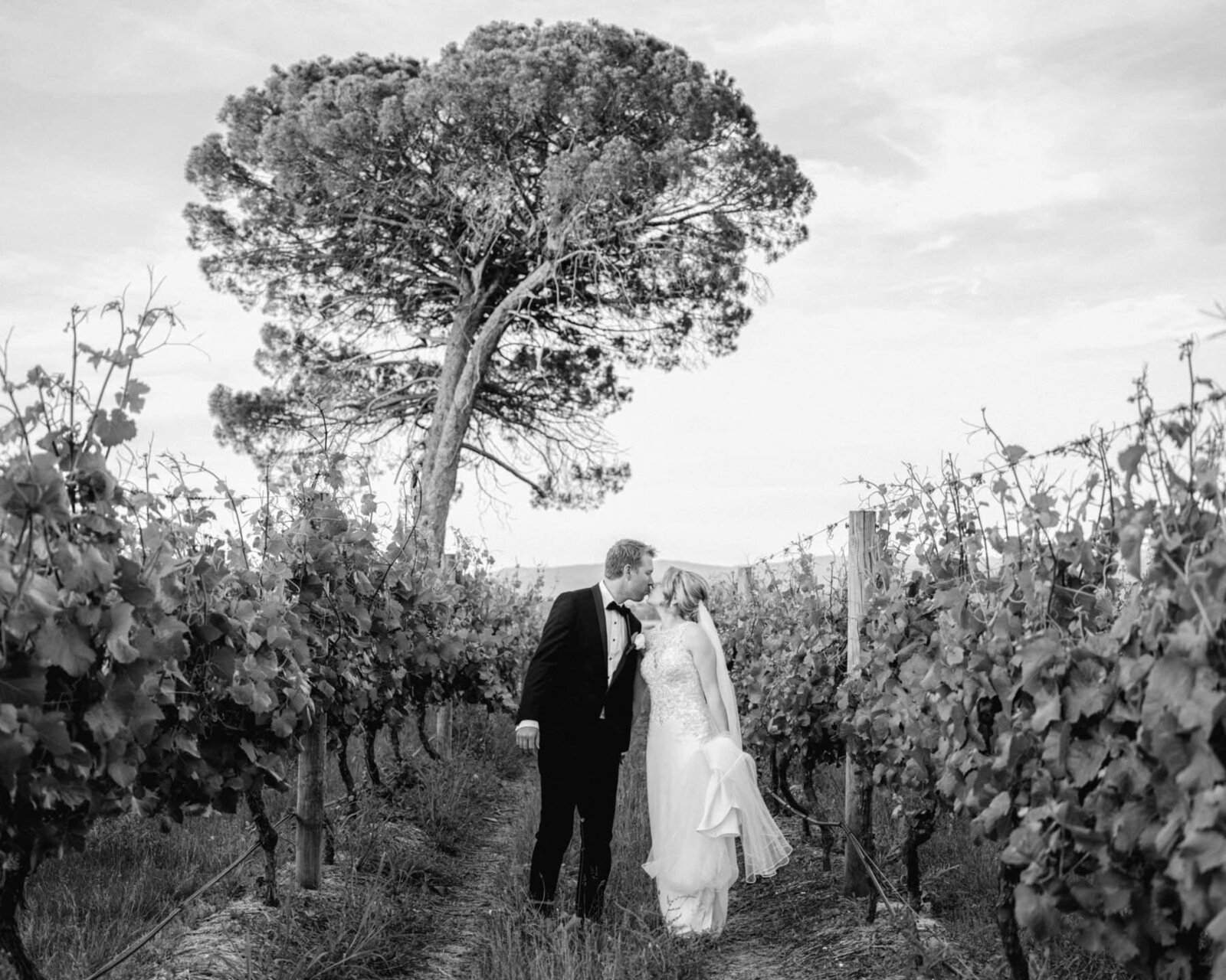 Stones-of-the-Yarra-Valley-wedding-Serenity-Photography-167