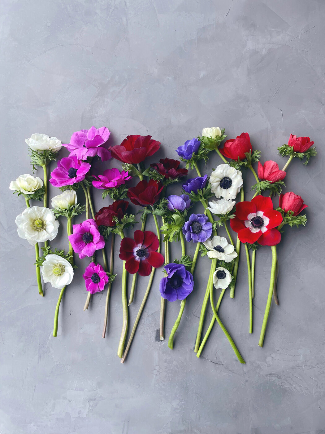 Sweet Peas | Indianapolis Flower Farm