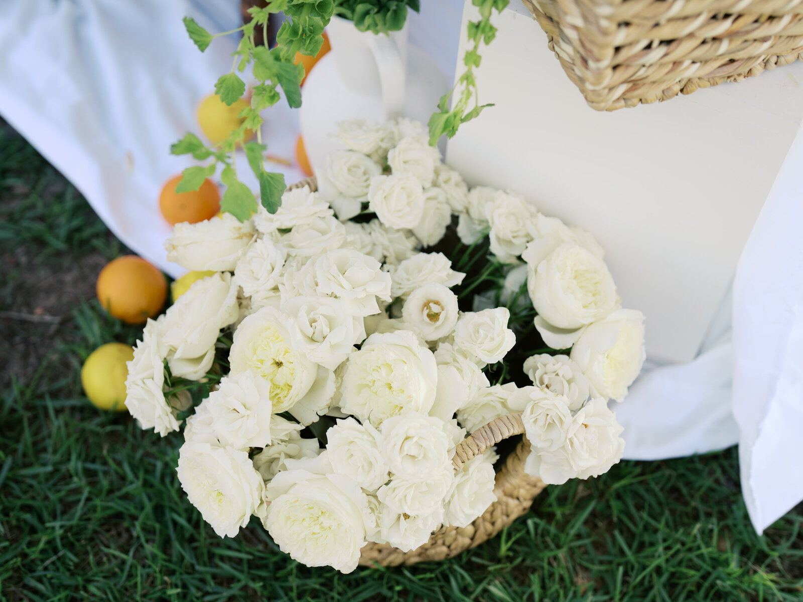 3-Harpers-AngelinaLoretaPhotography-112