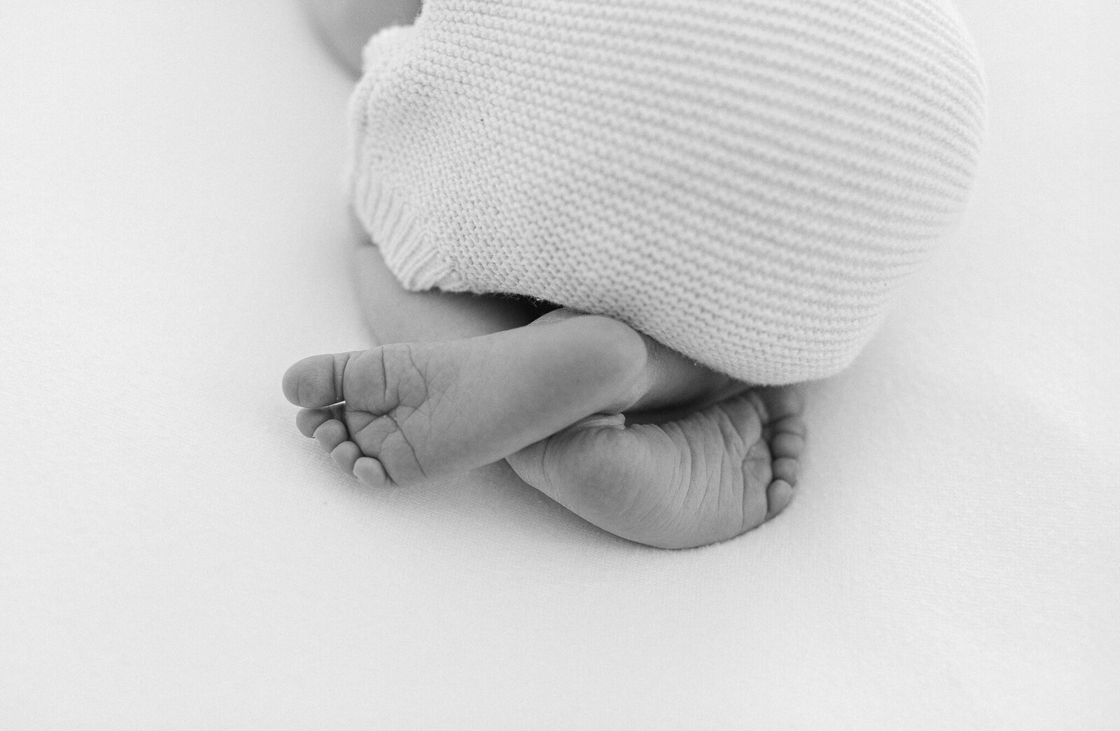 image of baby feet taken by massachuestts newborn photographer