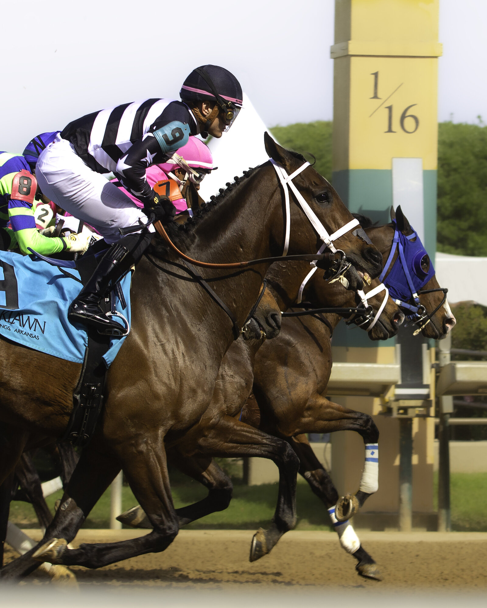 IMG_Oaklawn1