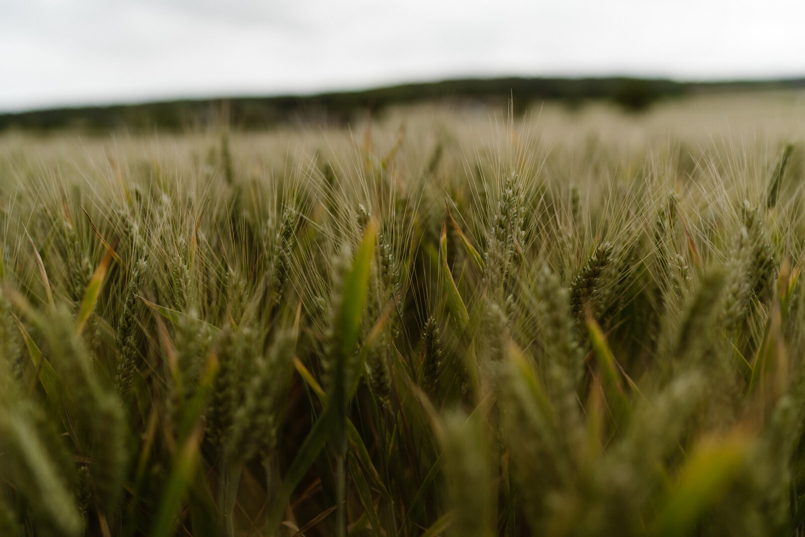 Daphnebaronfotografie-0723