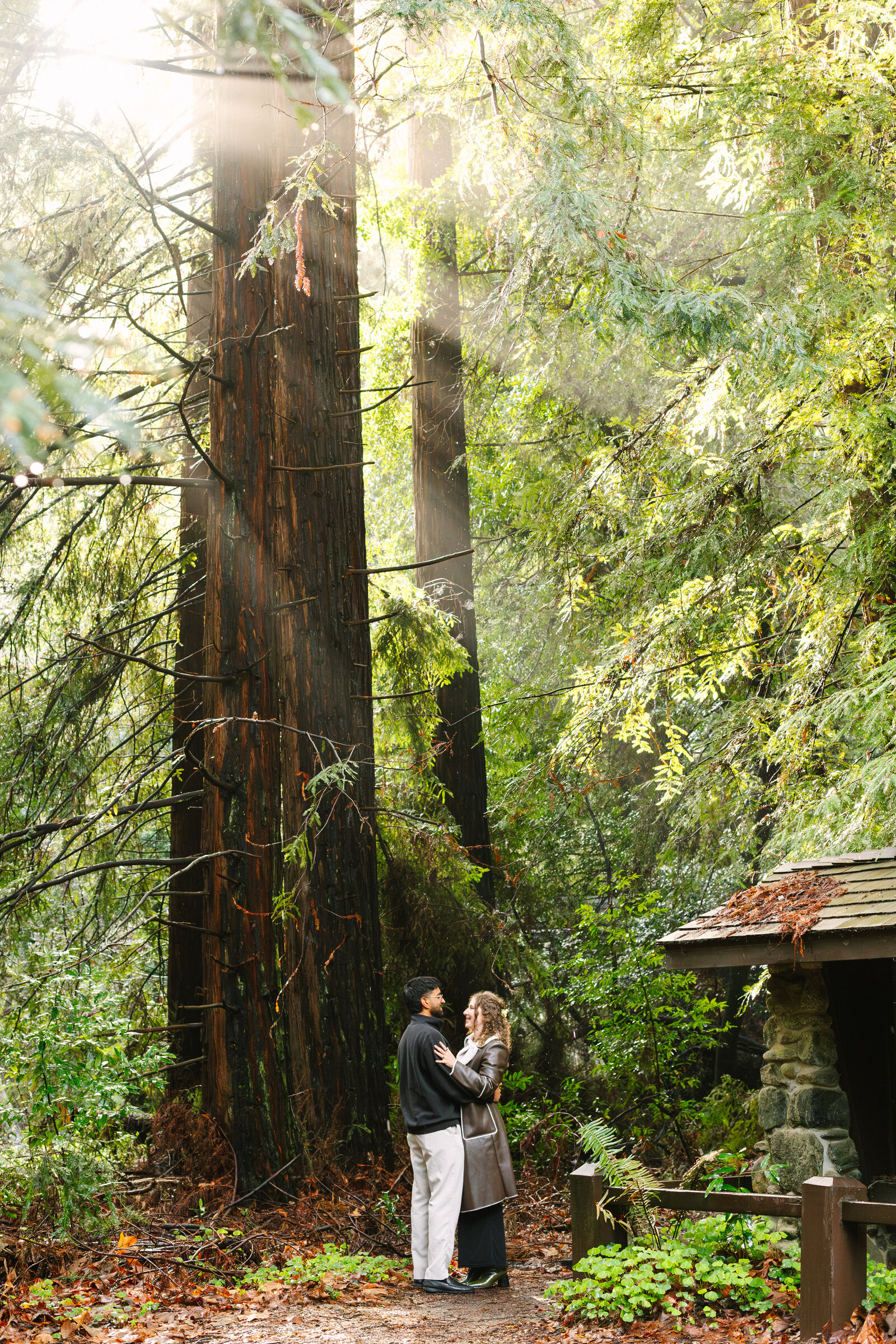 Big Sur Proposal Manjanatha-45