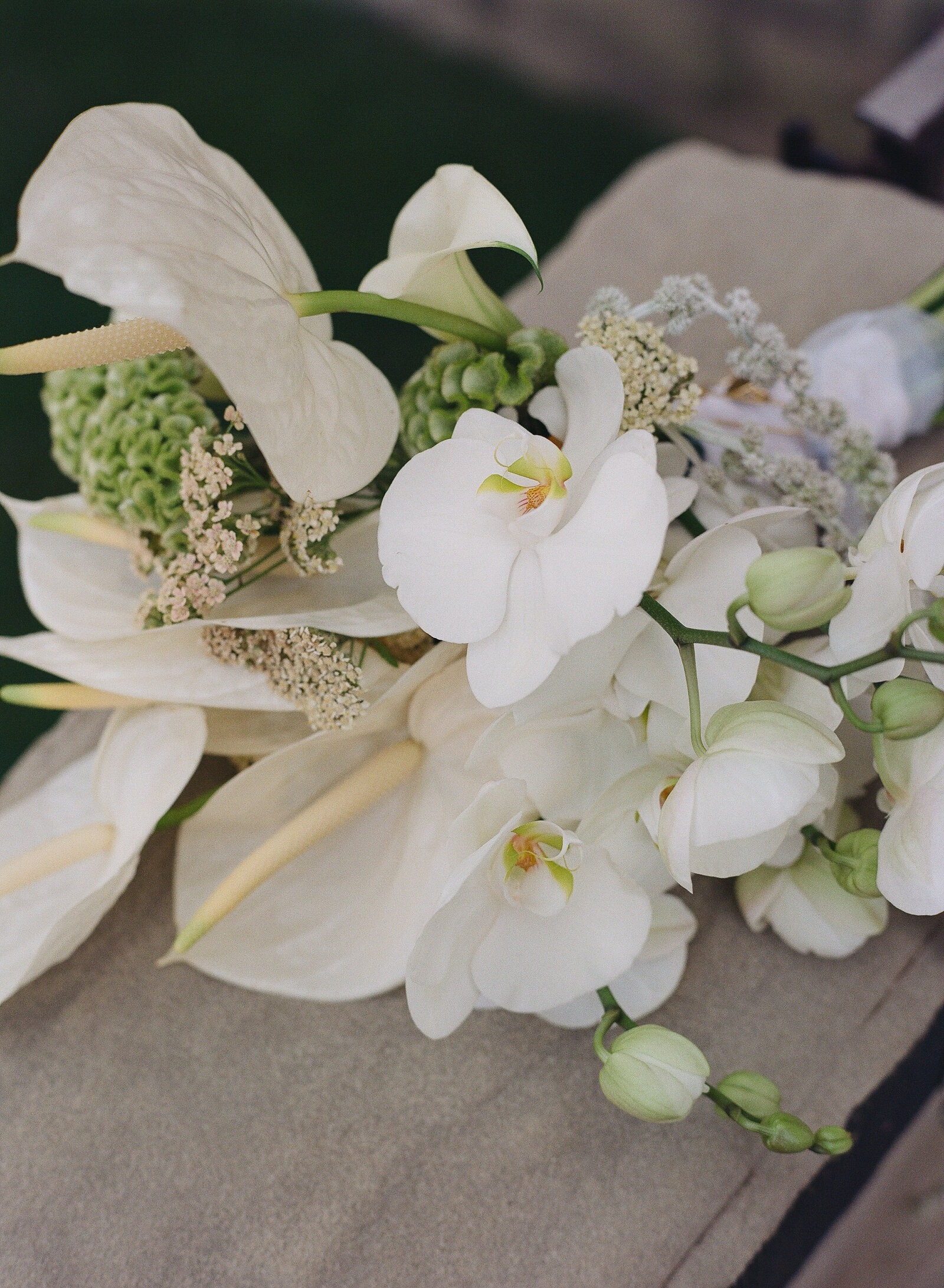 Jacqueline Anne Photography - Halifax Wedding Photographer - Kerrliee and Daniel-7