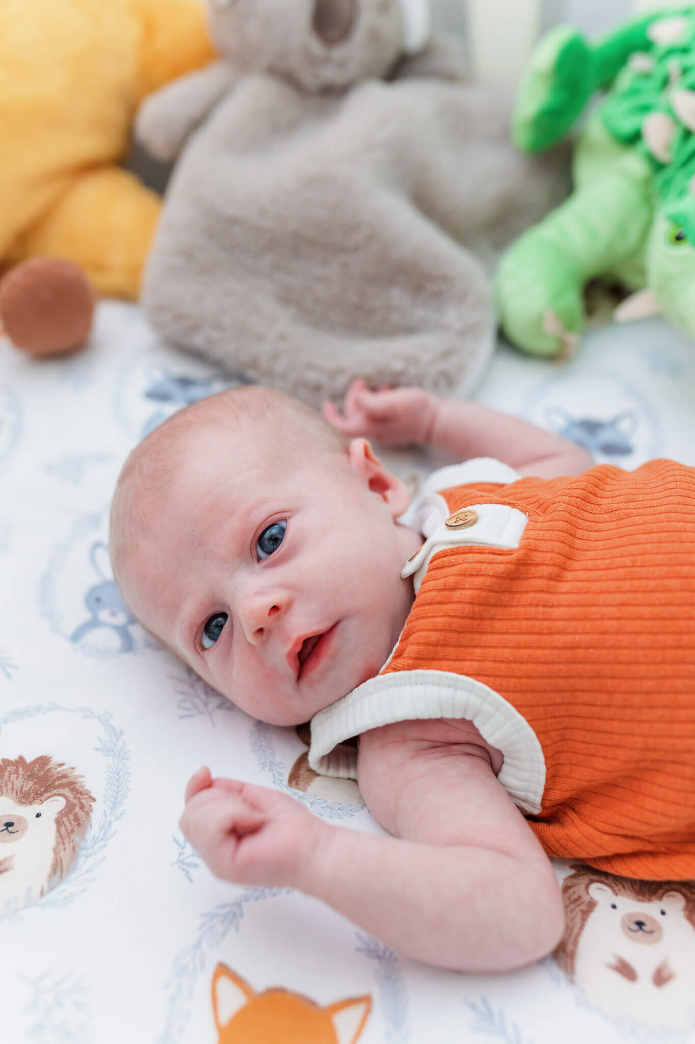 A newborn baby boy laying in his crib.