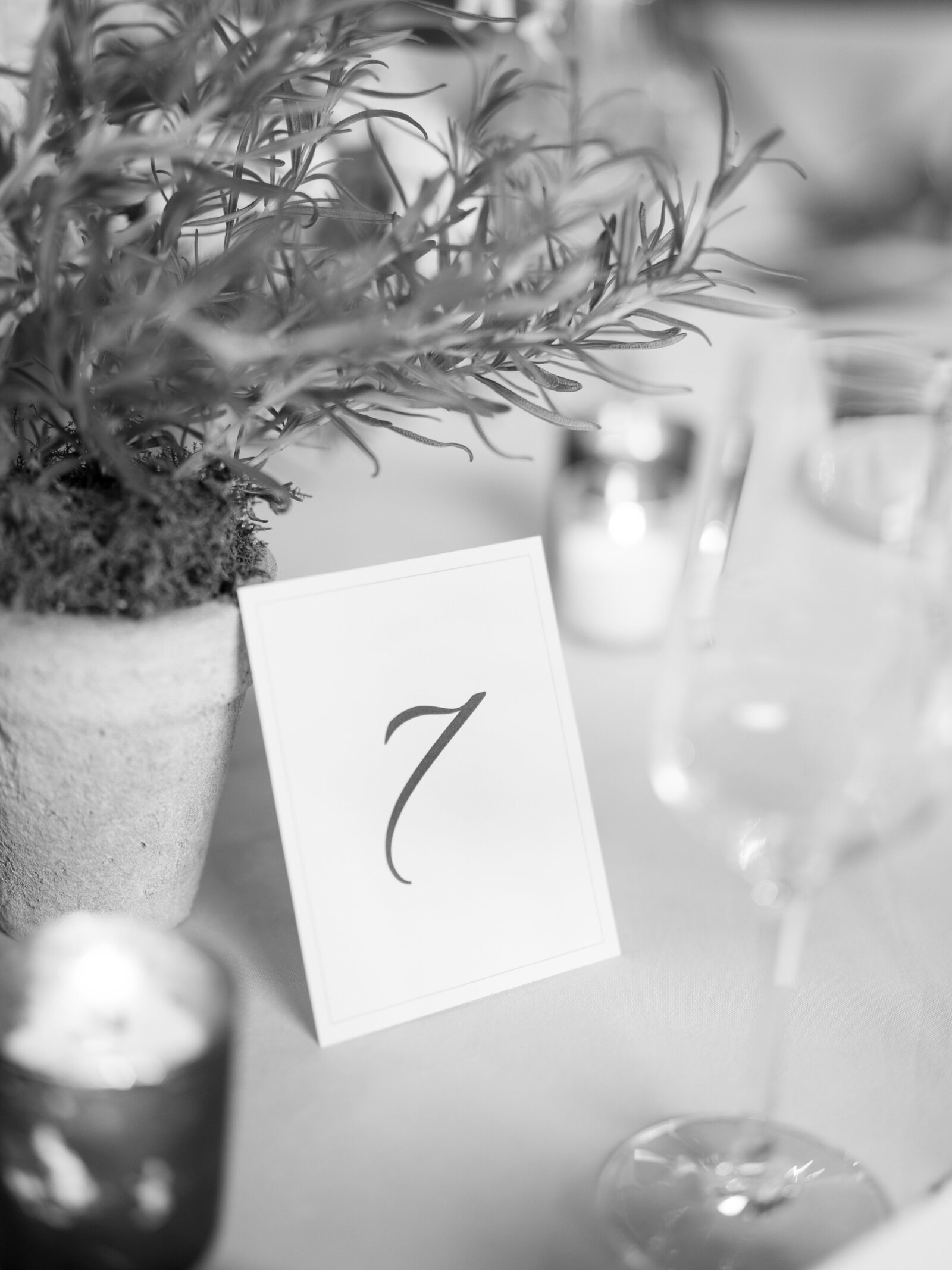 0097-A7I01836-AshleyRaePhotography