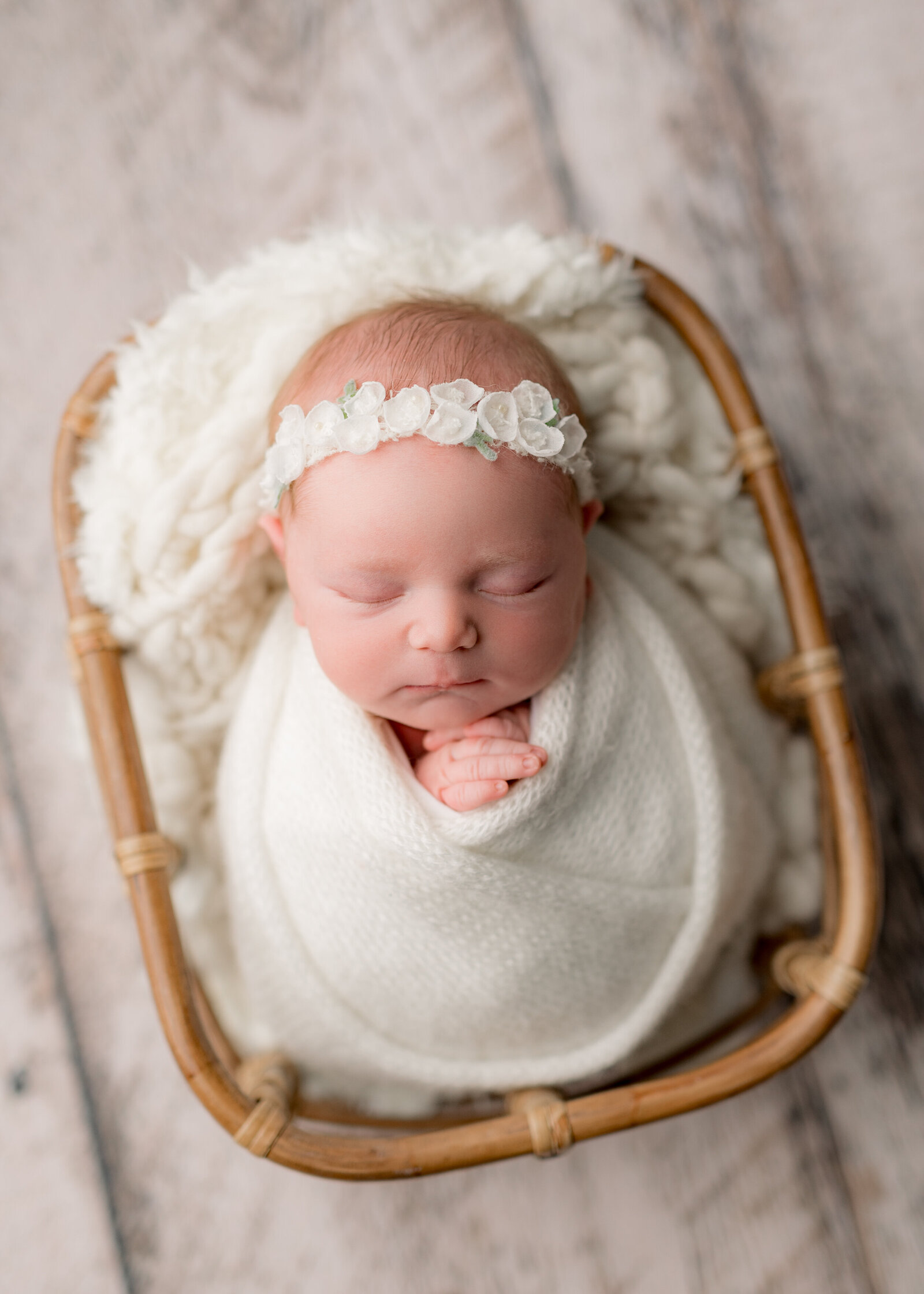 boston-newborn-photographer-502
