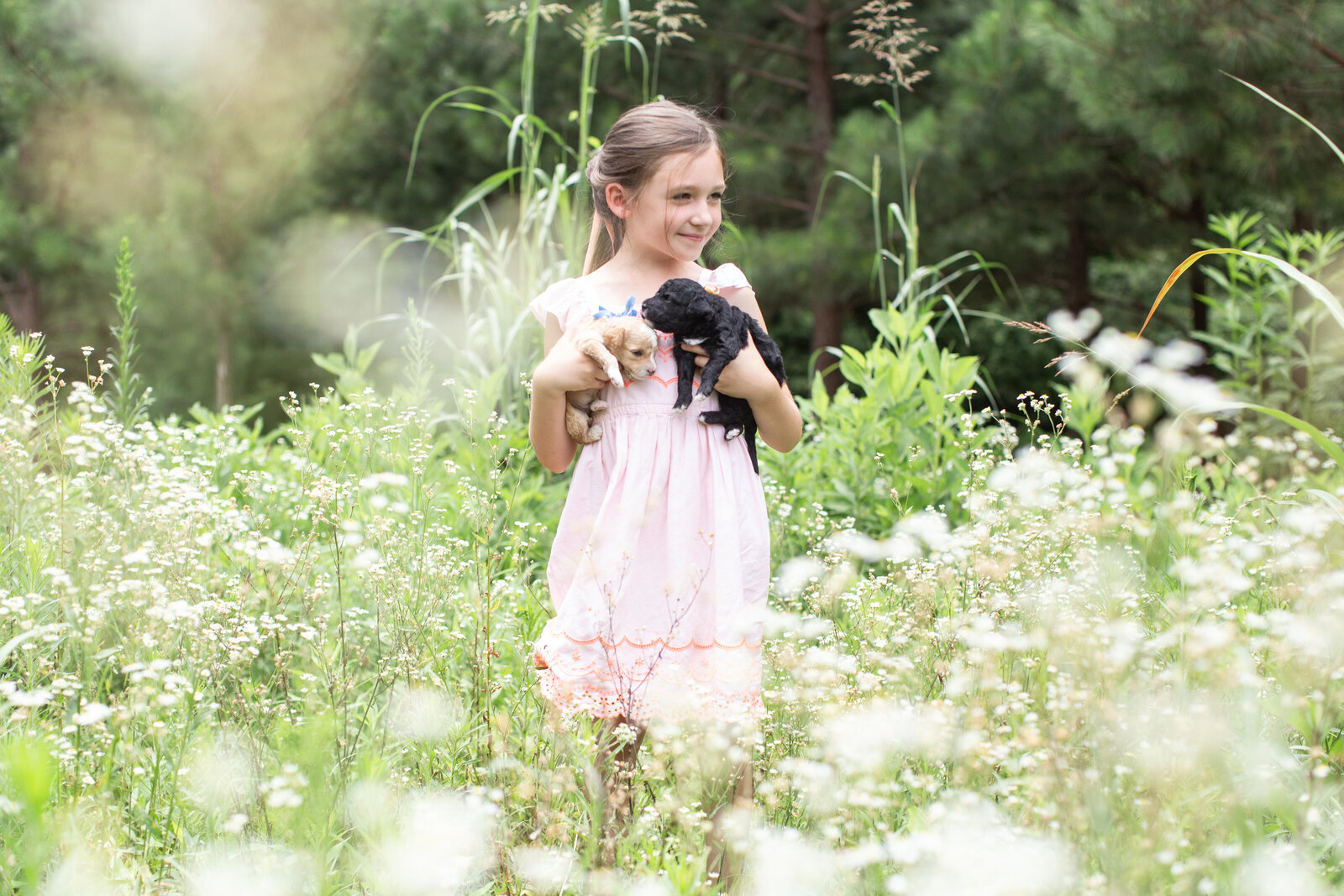 Gidget's Summer Litter 2023- 3nd Week Blog-23