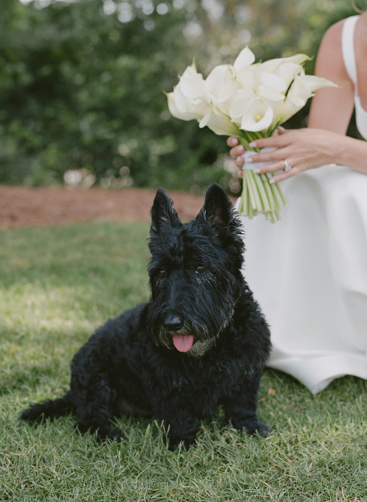 Cougar-Point-Wedding-Kiawah32