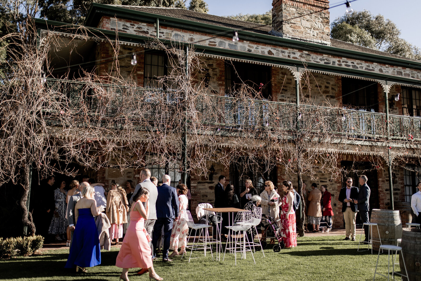 250524-Julia-Harry-Rexvil-Photography-Adelaide-Wedding-Photographer-231