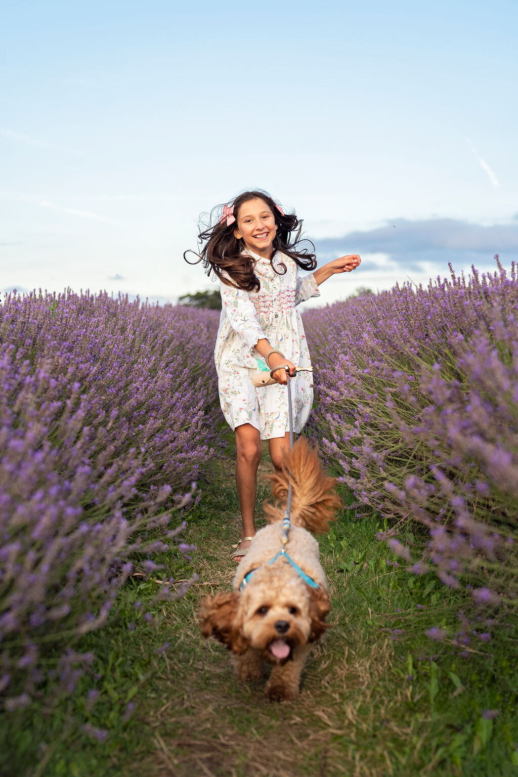 A girl runs with her dog through the Mayfield Lavender Farm during a family photo shoot