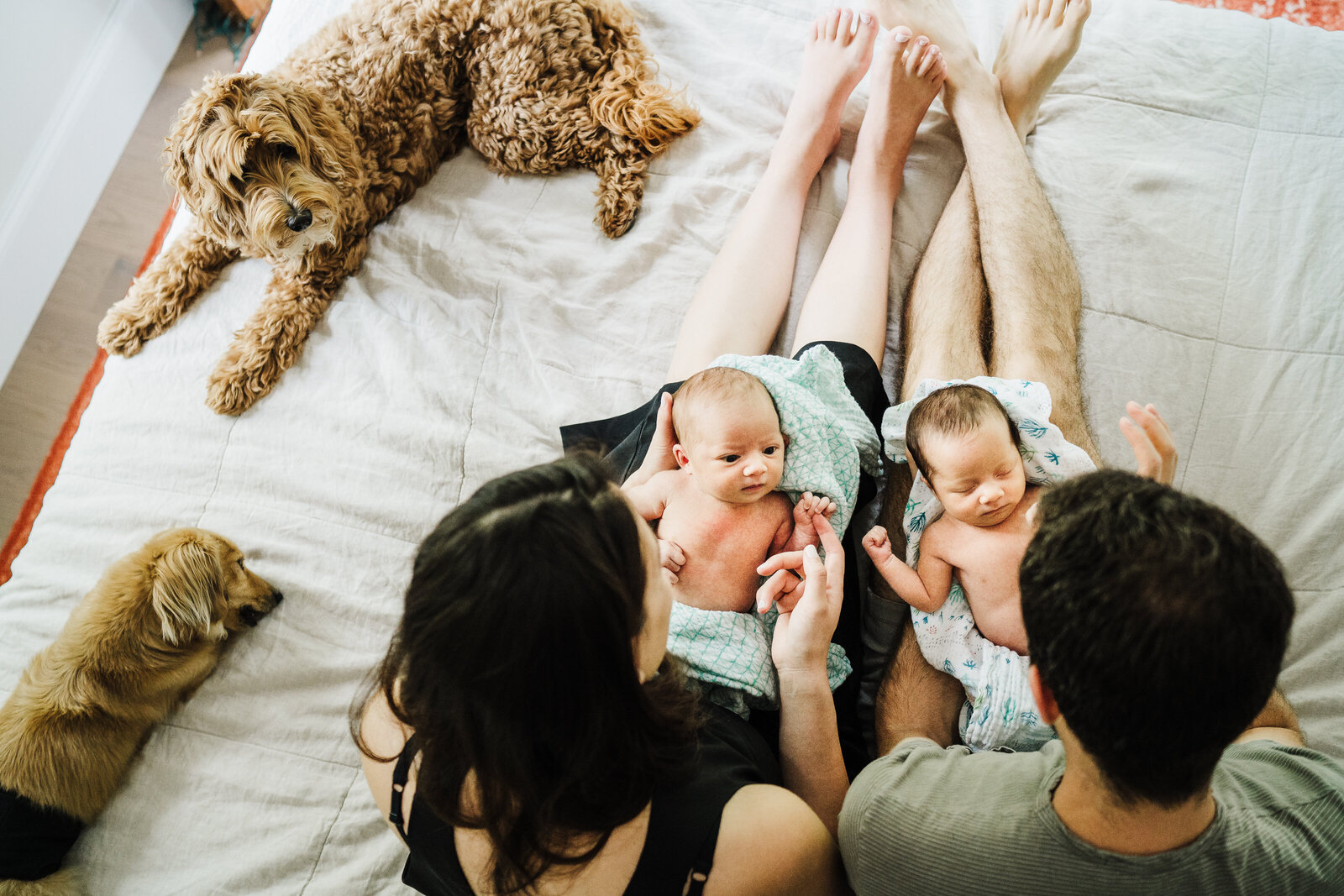 overhead shot of parents with twin girls and two dogs sitting on bed during newborn photo shoot