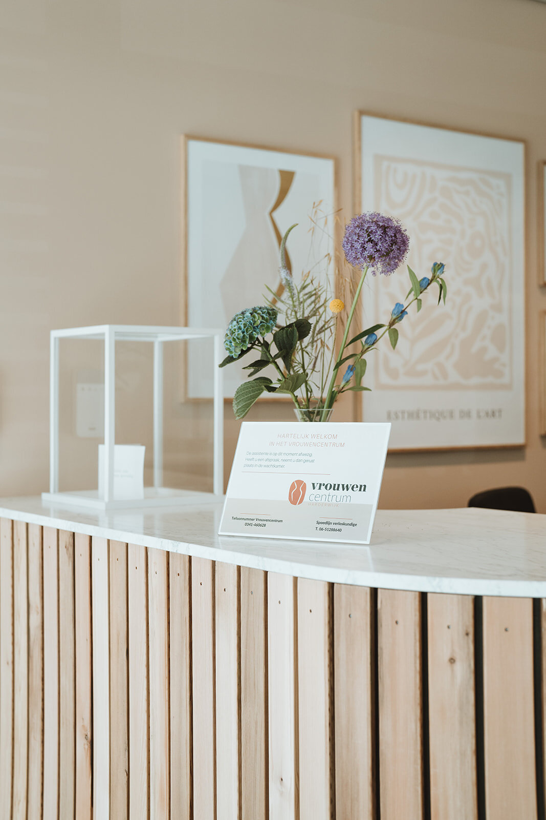 Wonderwood Fotografie-2