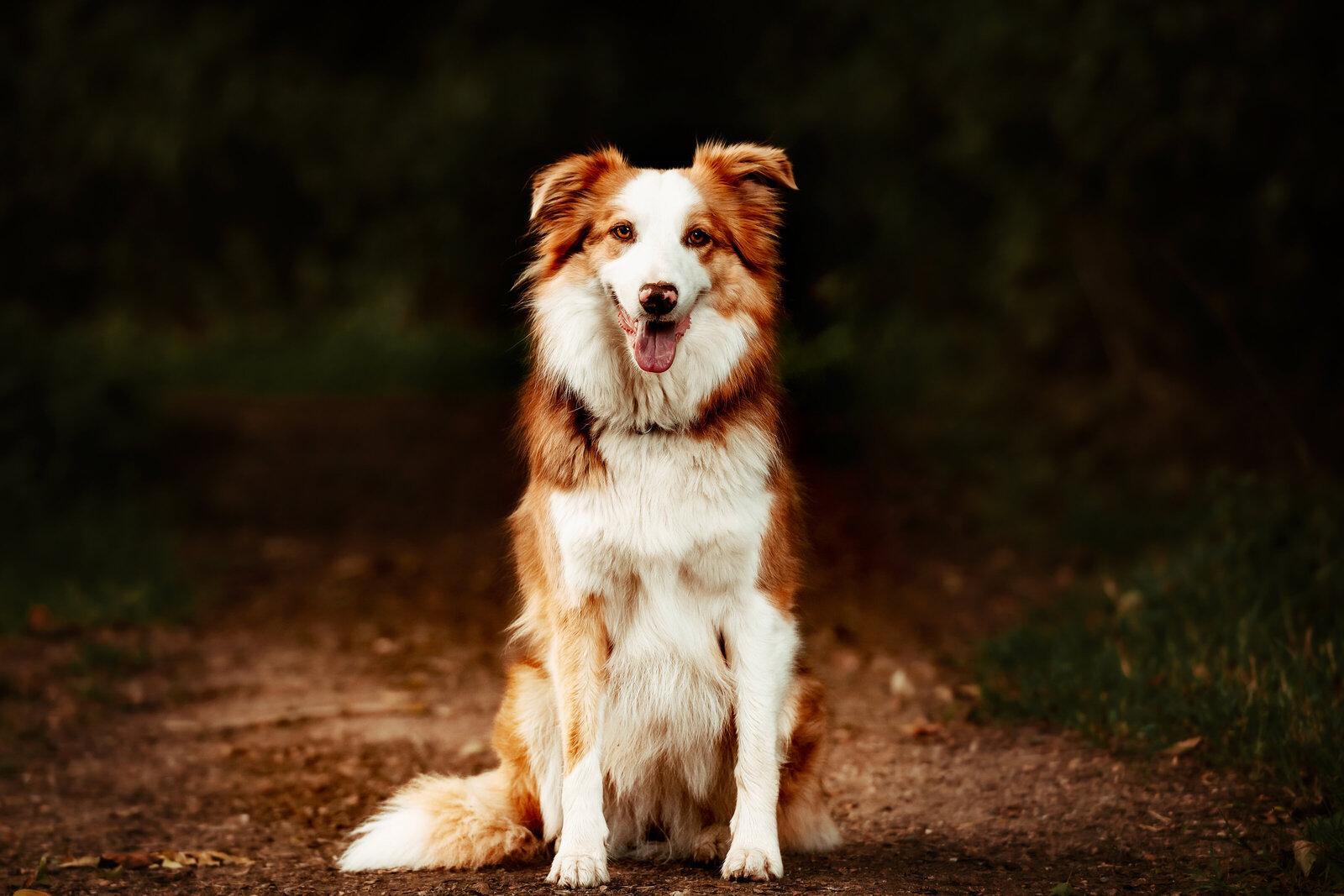 Fotoshoot buiten op locatie in Nissewaard met ontspannen sfeer