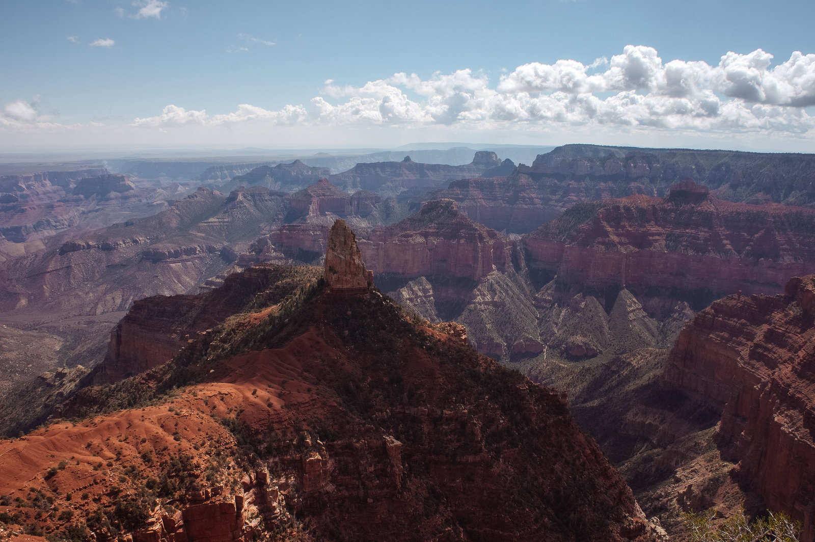 Sasha_Reiko_Photography_Travel_Utah_Arches_Canyon_Lands_Zion_Grand_Canyon-11