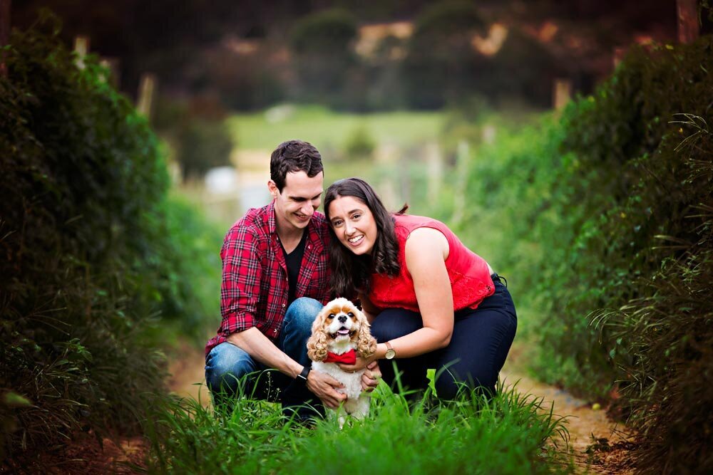 farm-portraits-couples-in-love