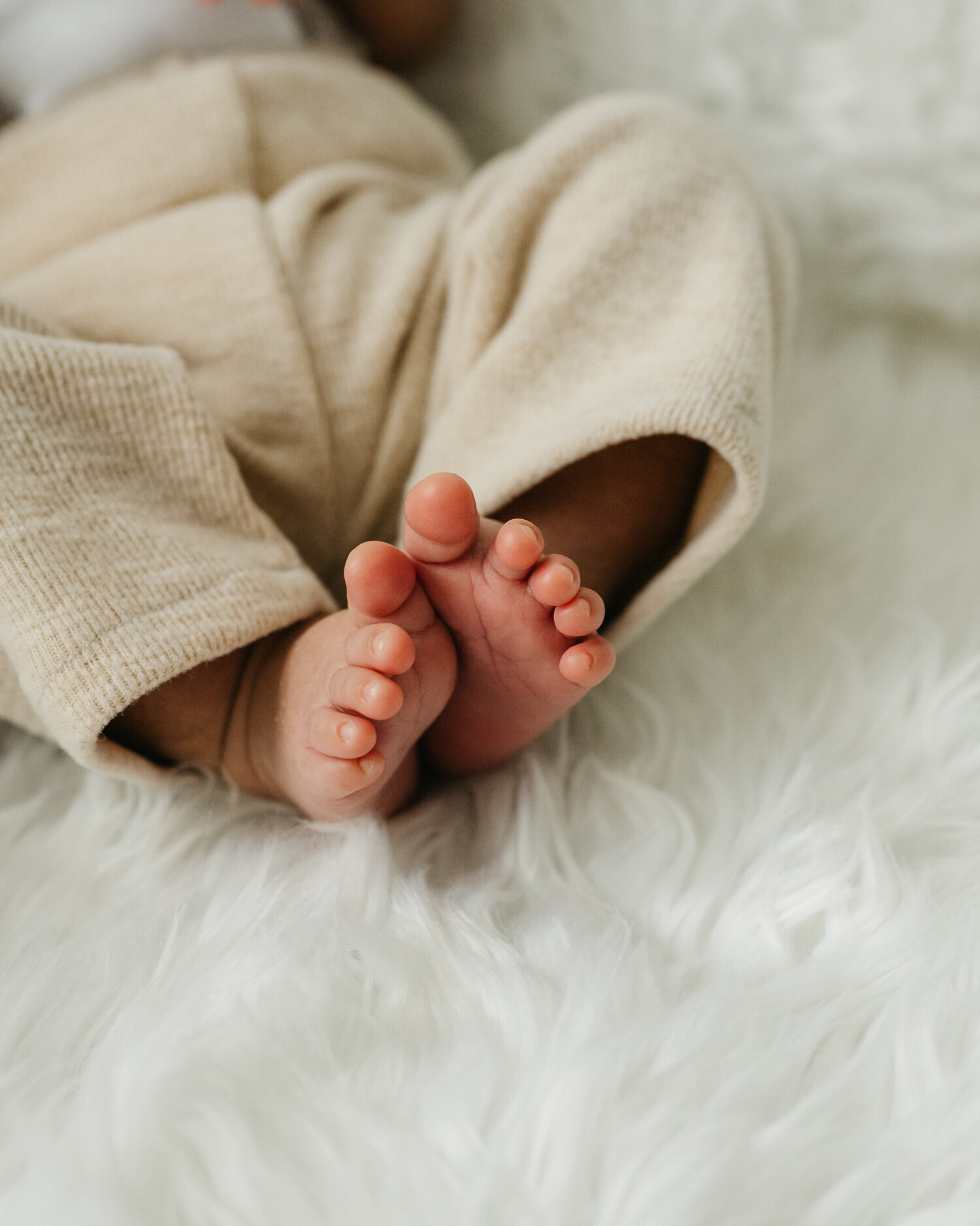 Lake Elsinore Newborn, Motherhood Photographer