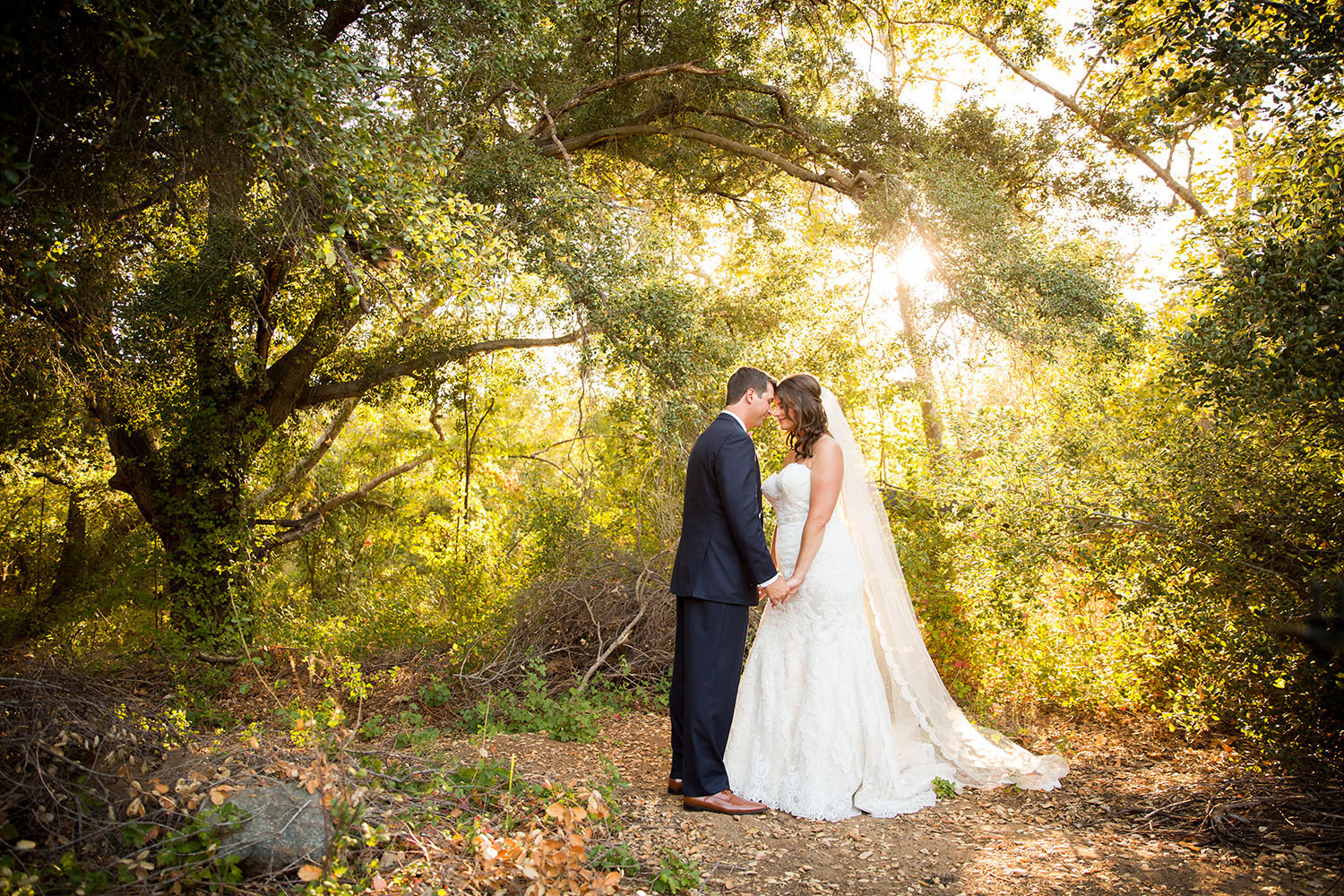 bride and groom in an open field