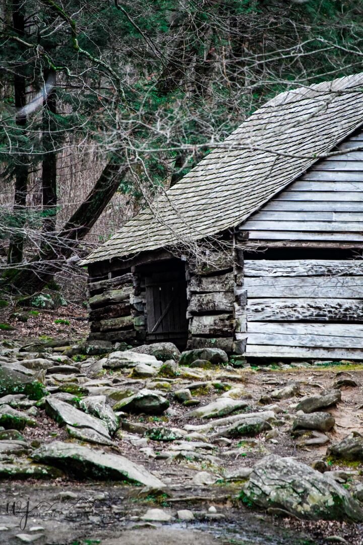 Roaring Fork Motor Nature Trail
