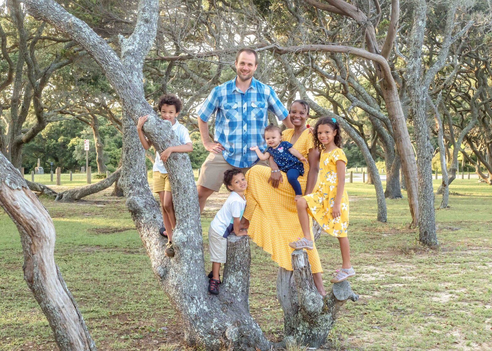A vibrant family poses on the twisted branches of trees in Oak Island. The parents and their four children, dressed in blue and yellow, share playful smiles. Ideal for those seeking artistic family photography in Wilmington, NC, capturing joyful outdoor moments.
