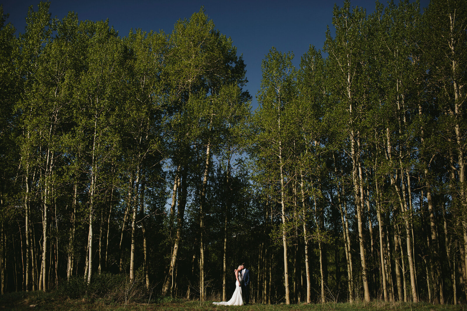 aspen tree wedding photos