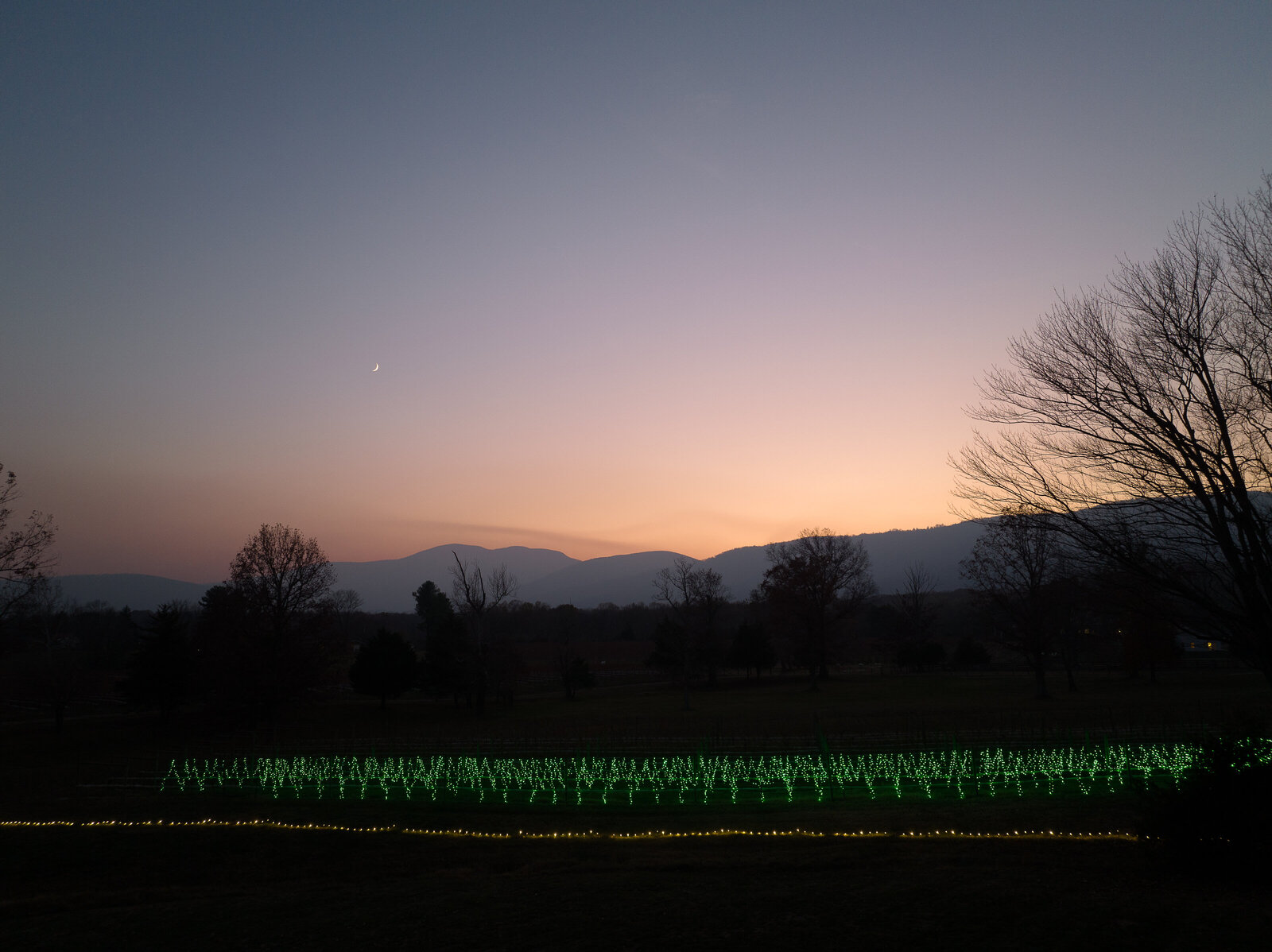 veritas illuminated nov2023 JackLooney-0042