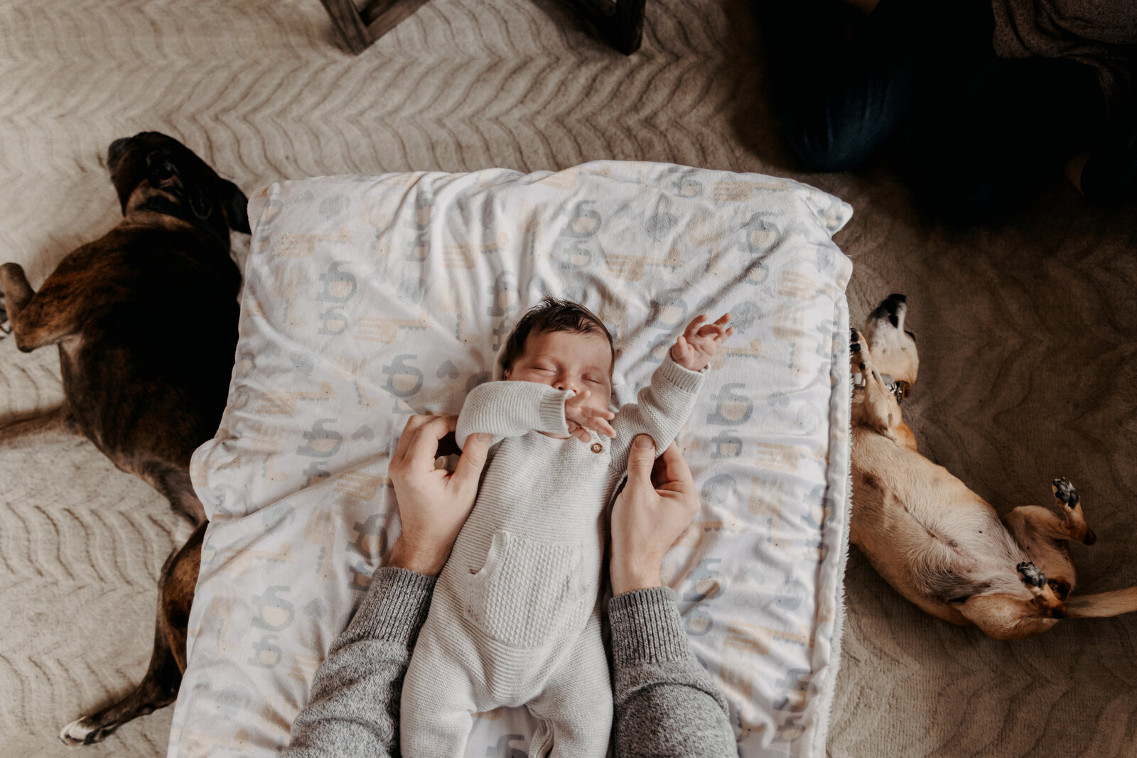 Boston_Lifestyle_Newborn_Photographer_.IMG_2548
