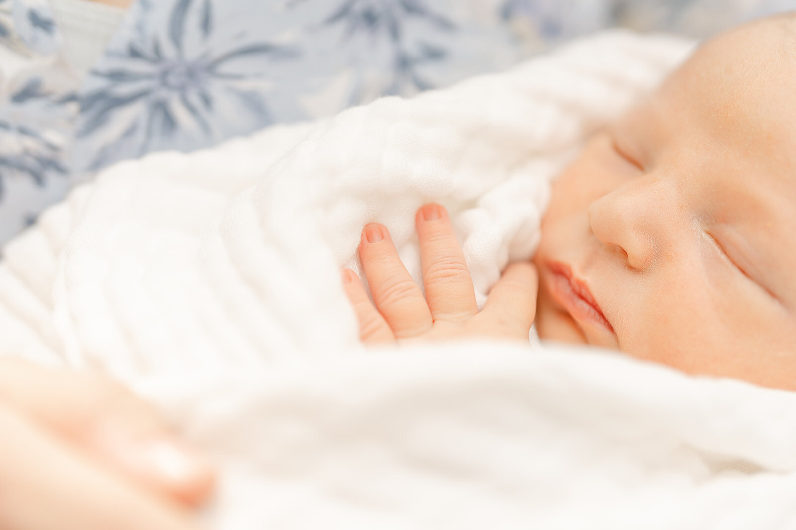 baby bundled during outdoor newborn photo in Leesburg, VA