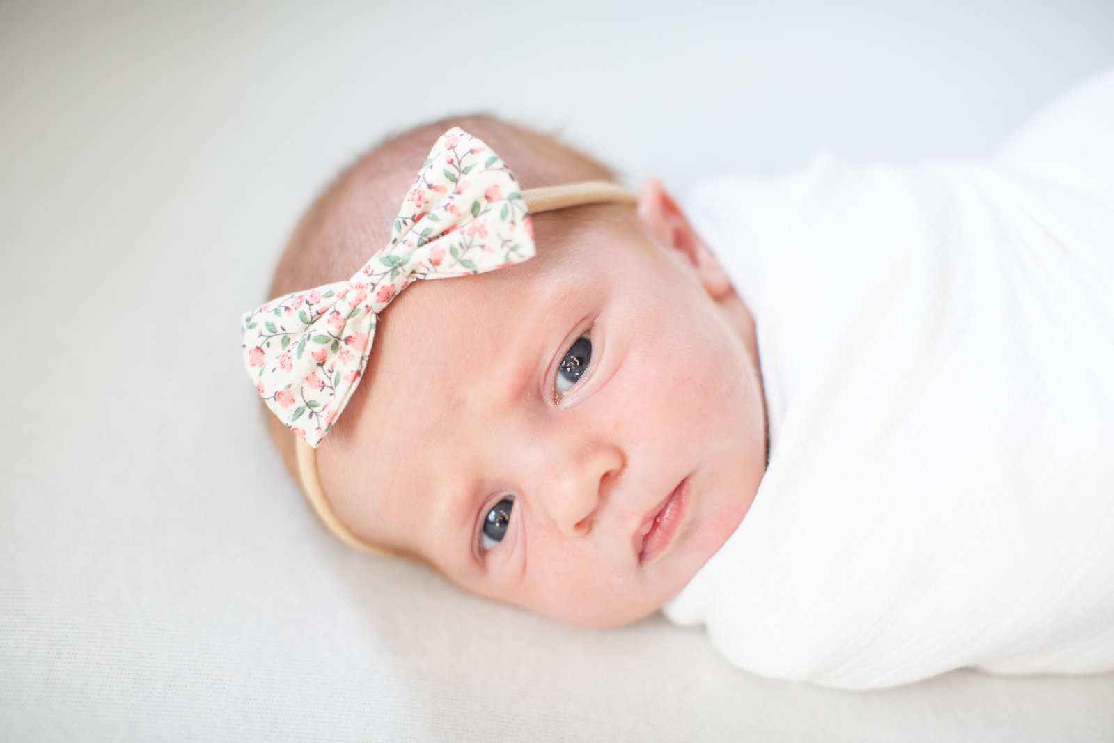 Virginia-Newborn-Family-Photographer-13