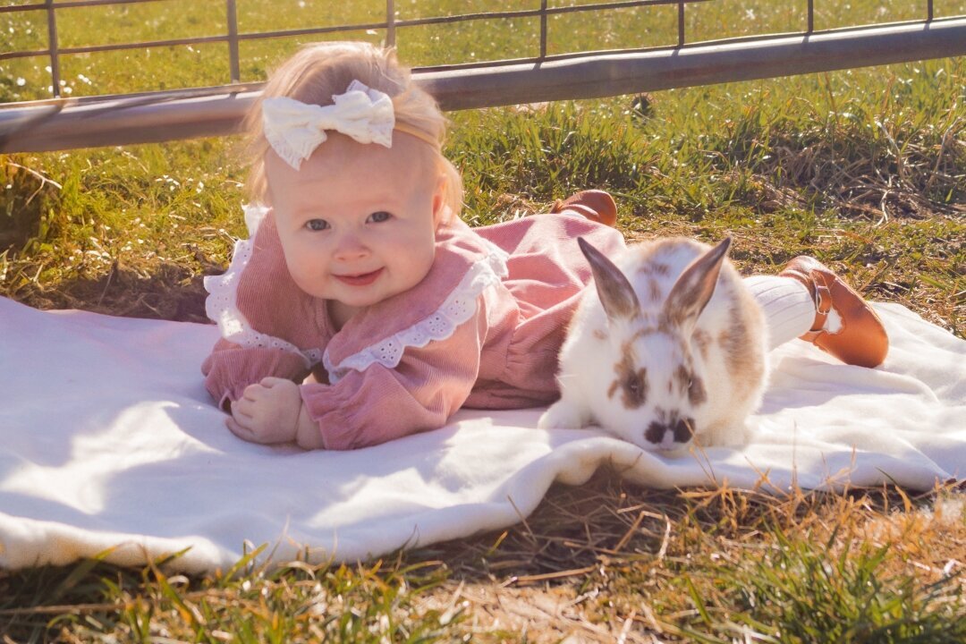 Bunnies_Babies
