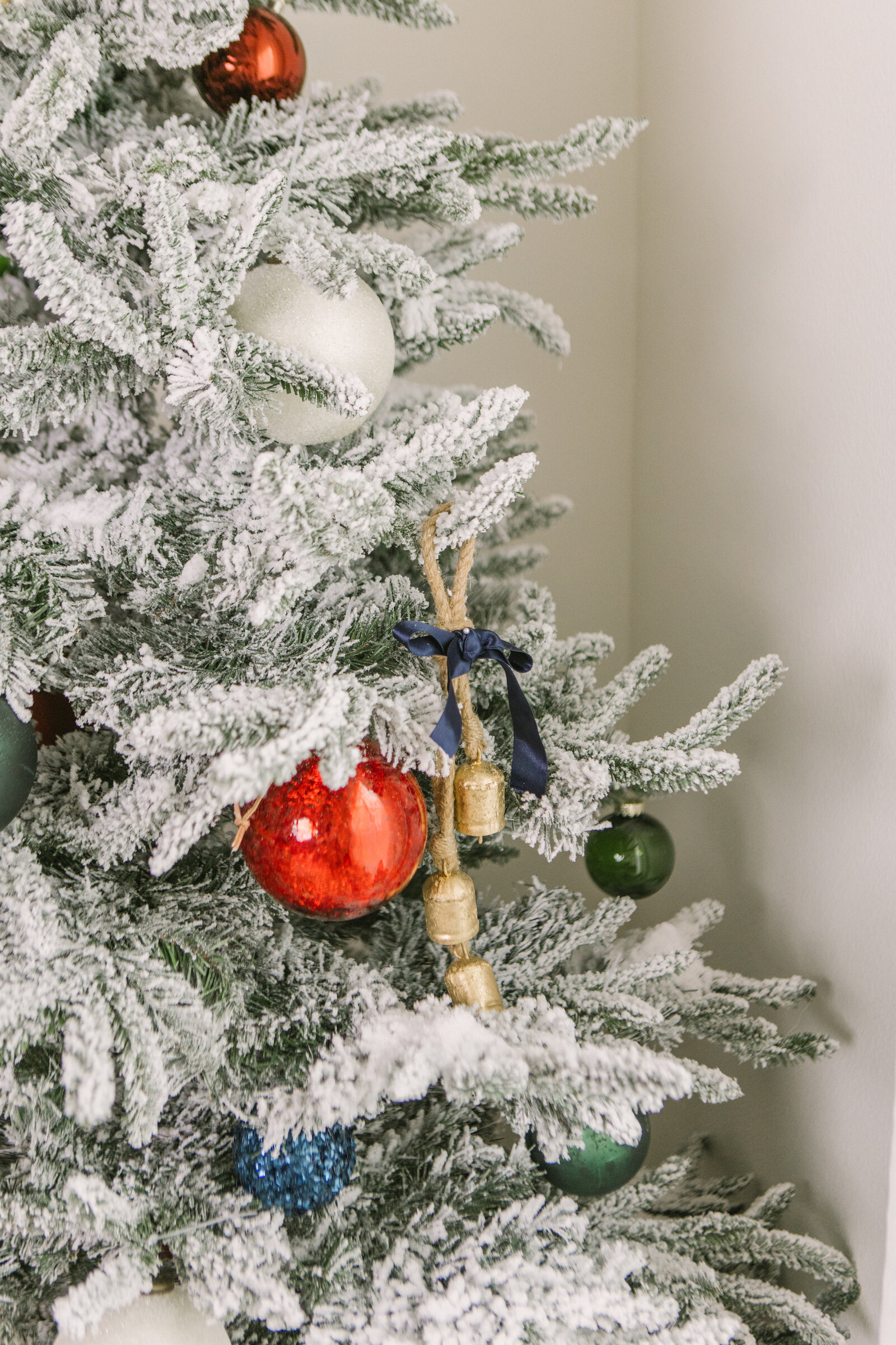 boise-christmas-minis-3