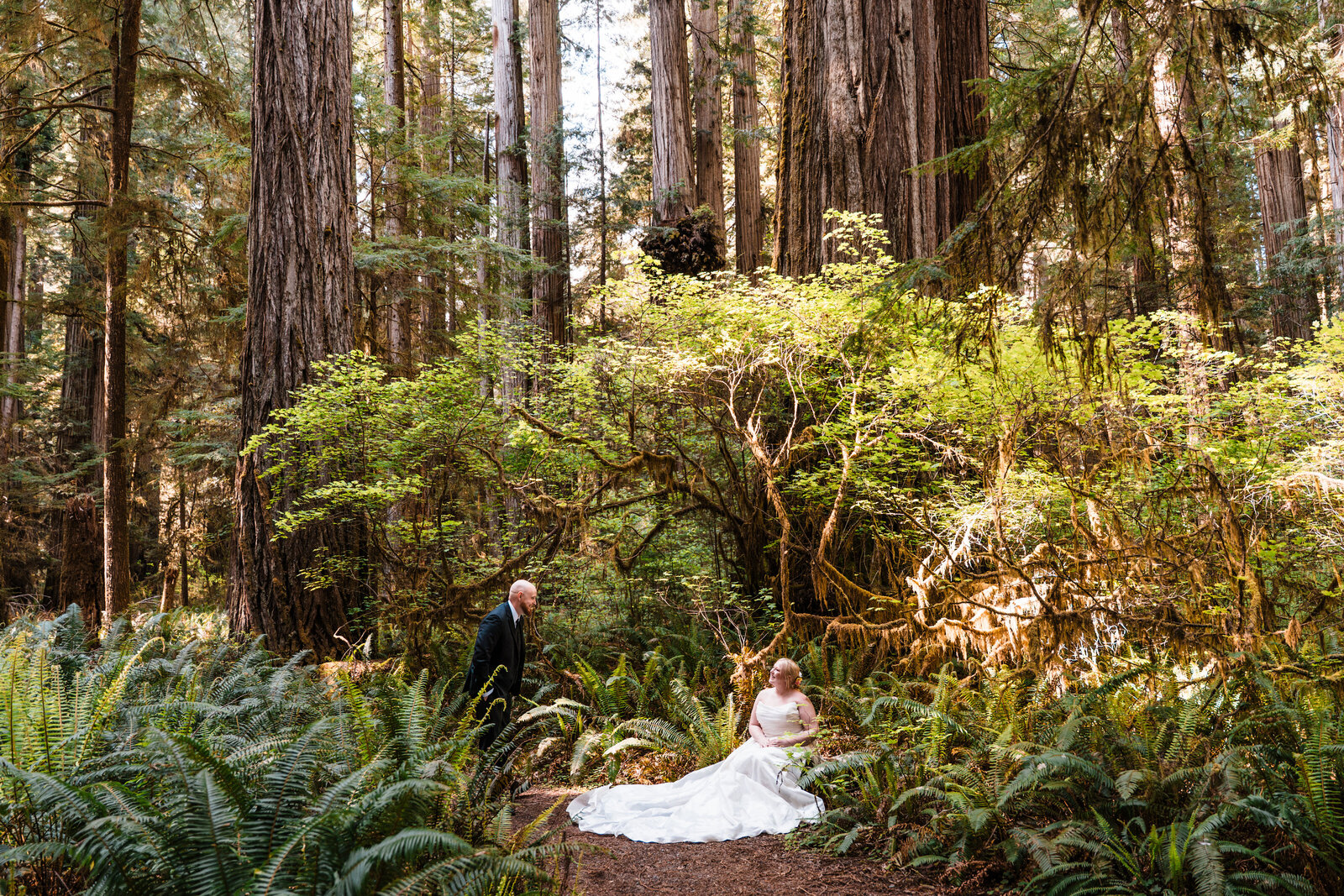 couple in wedding attire waving under large Redwood Trees