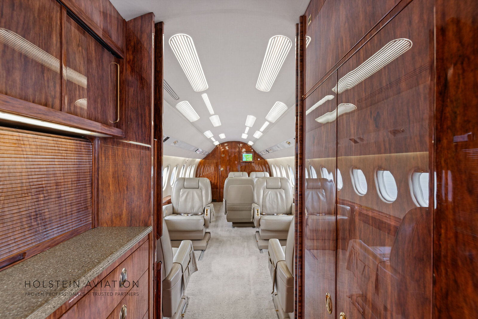 Falcon 2000 Watermarked-19
