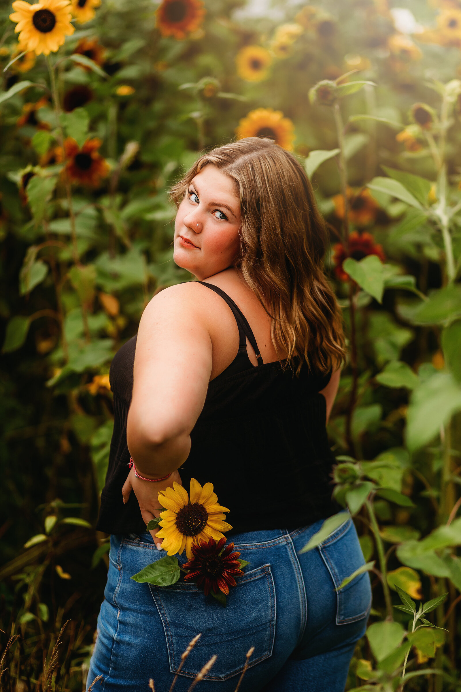 senior pictures in sunflowers. ohio senior photographer. canal fulton ohio photographer.