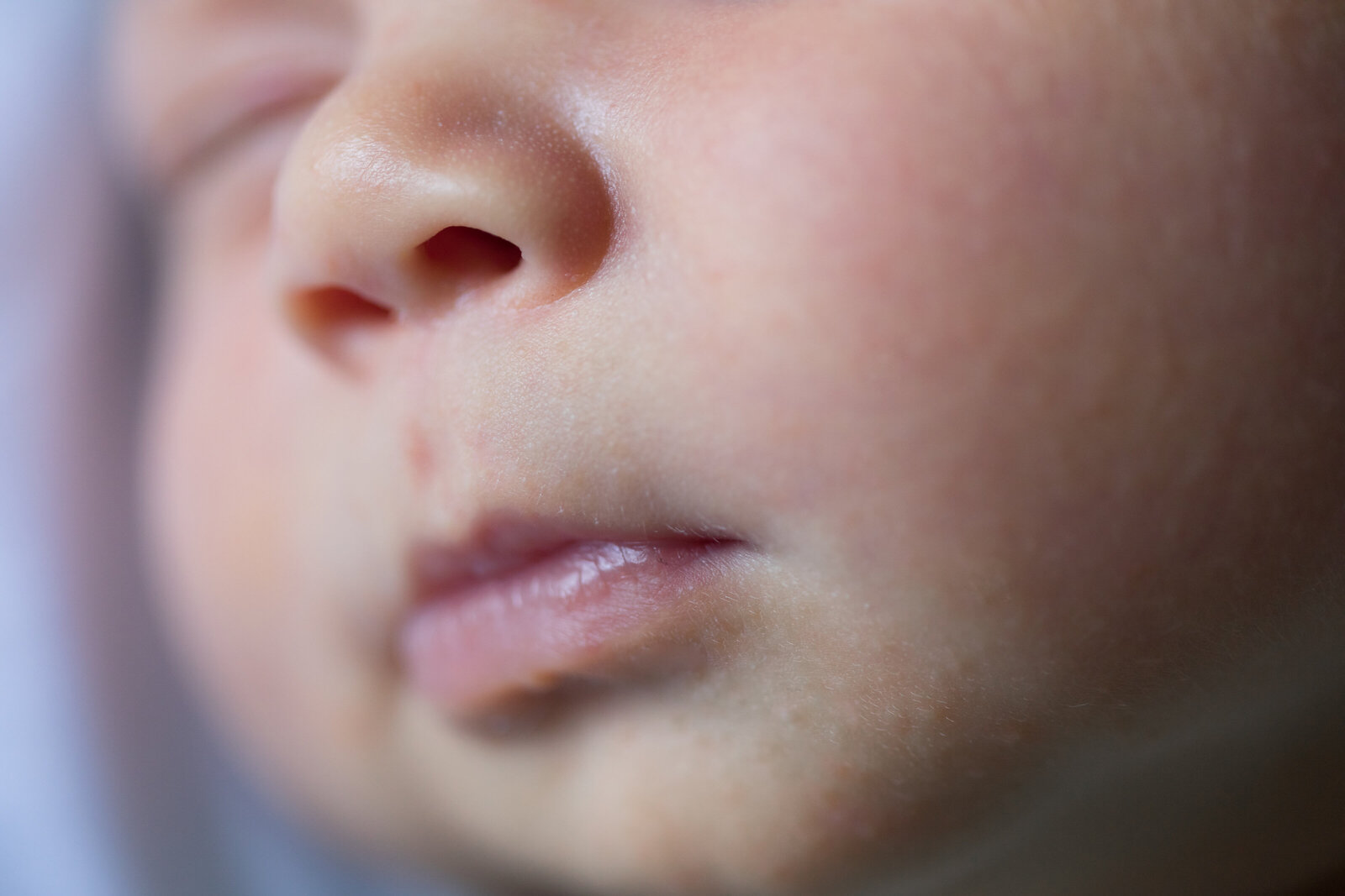 KSP_8249_141_karen_stone_photography_mcmahon-in-home-newborn-baby-photographer-knoxville-tn