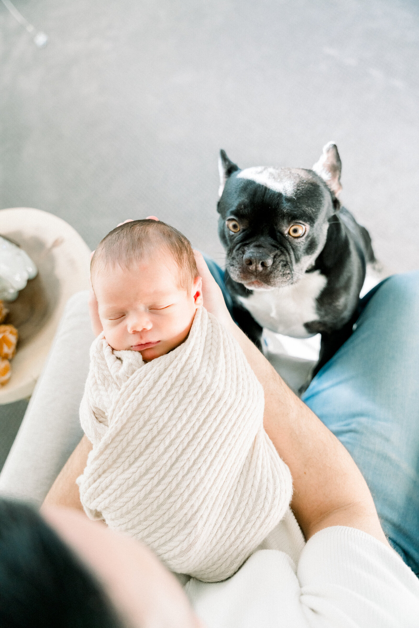 morristown-newborn-pictures-20