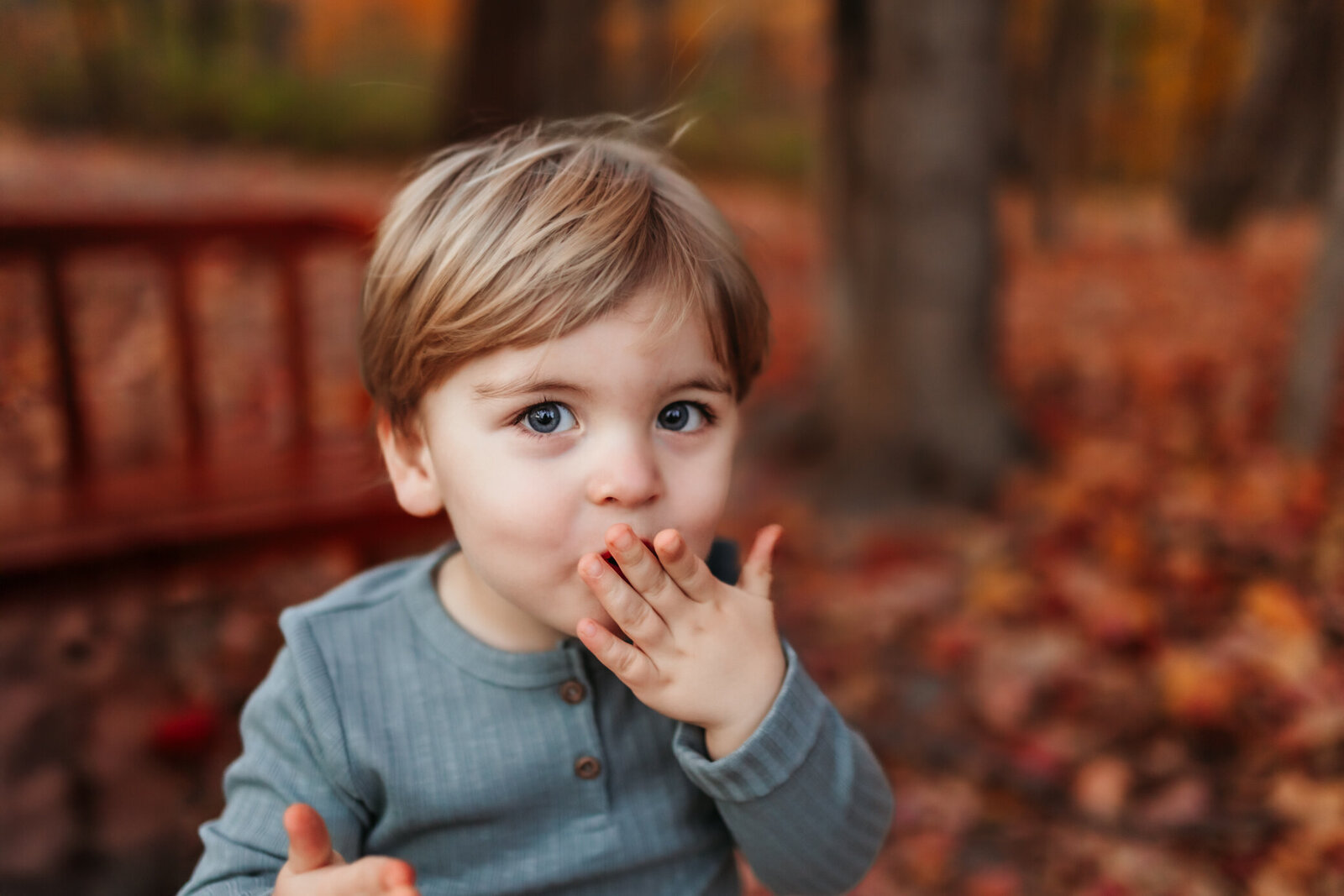fall-family-photography-cool-creek-park-nightingale-and-willow-photography (17 of 22)