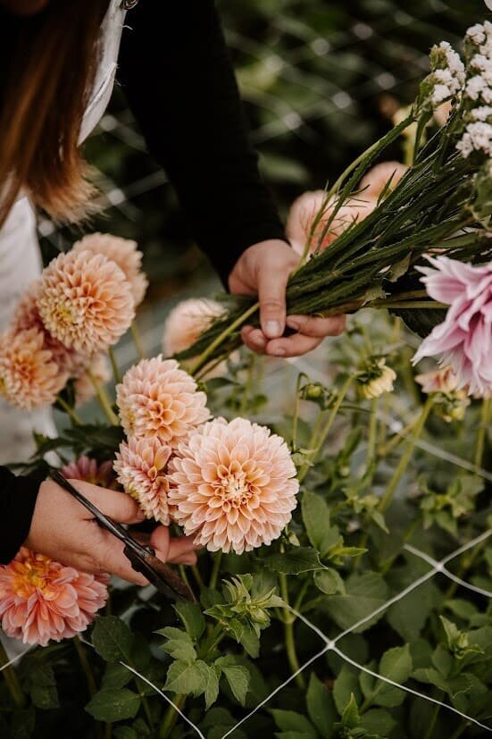 classesflorale_worshop_fermeflorale_10