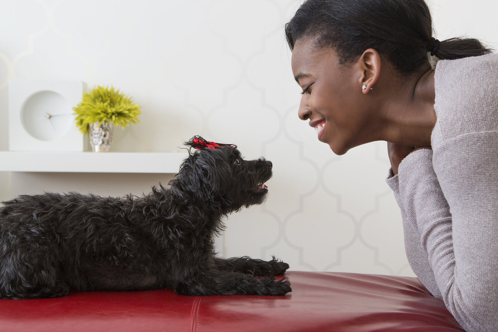 a-young-girl-playing-with-her-small-black-pet-dog-M5FYKFZ