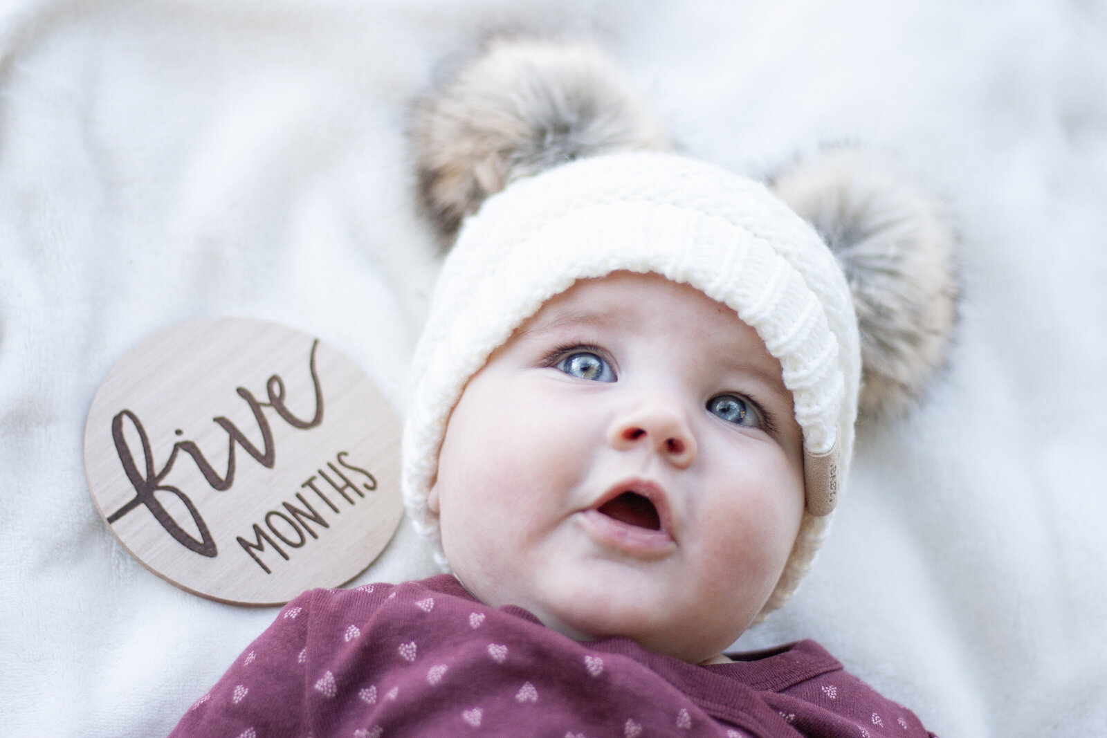 Family photographer Sevierville TN