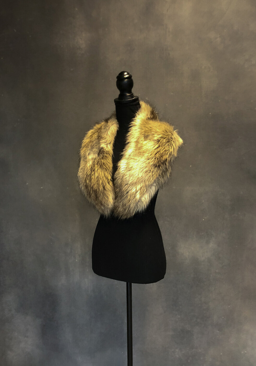 sarasota-photographer-studio-wardrobe-123